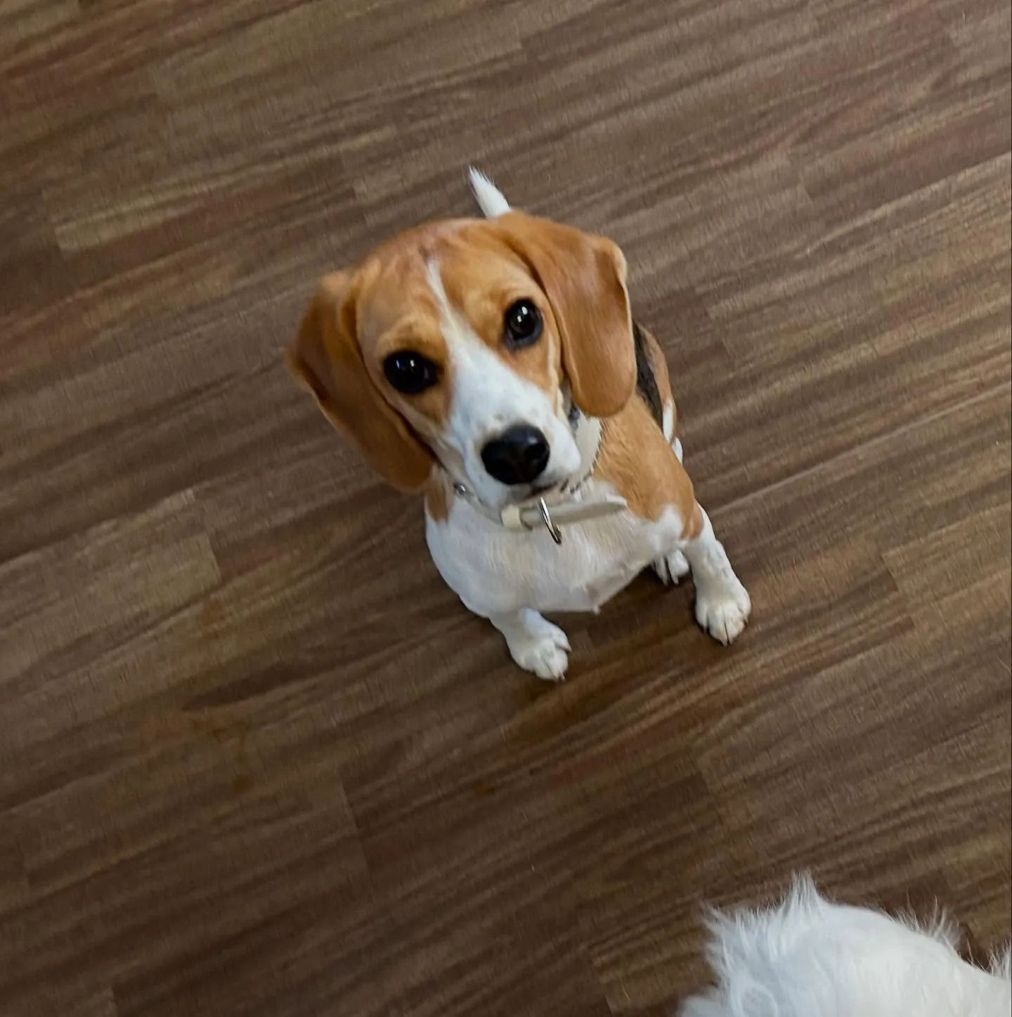 入会してくれたみらいちゃんです💕