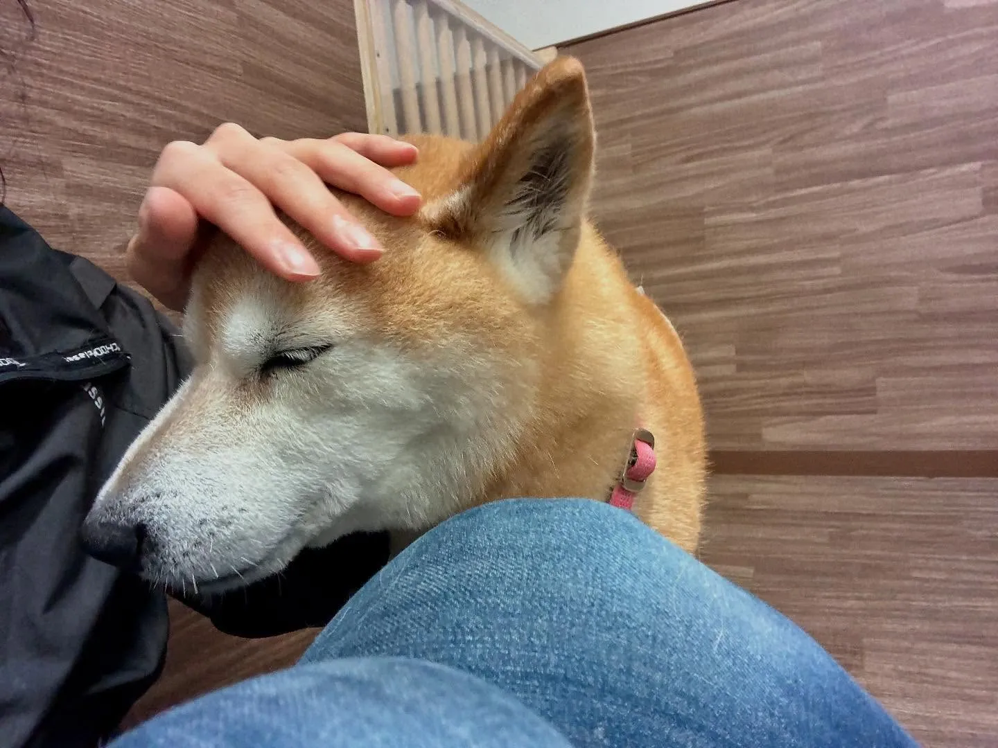 今日は飛鳥くんと雪丸くんのお誕生日でした🎂