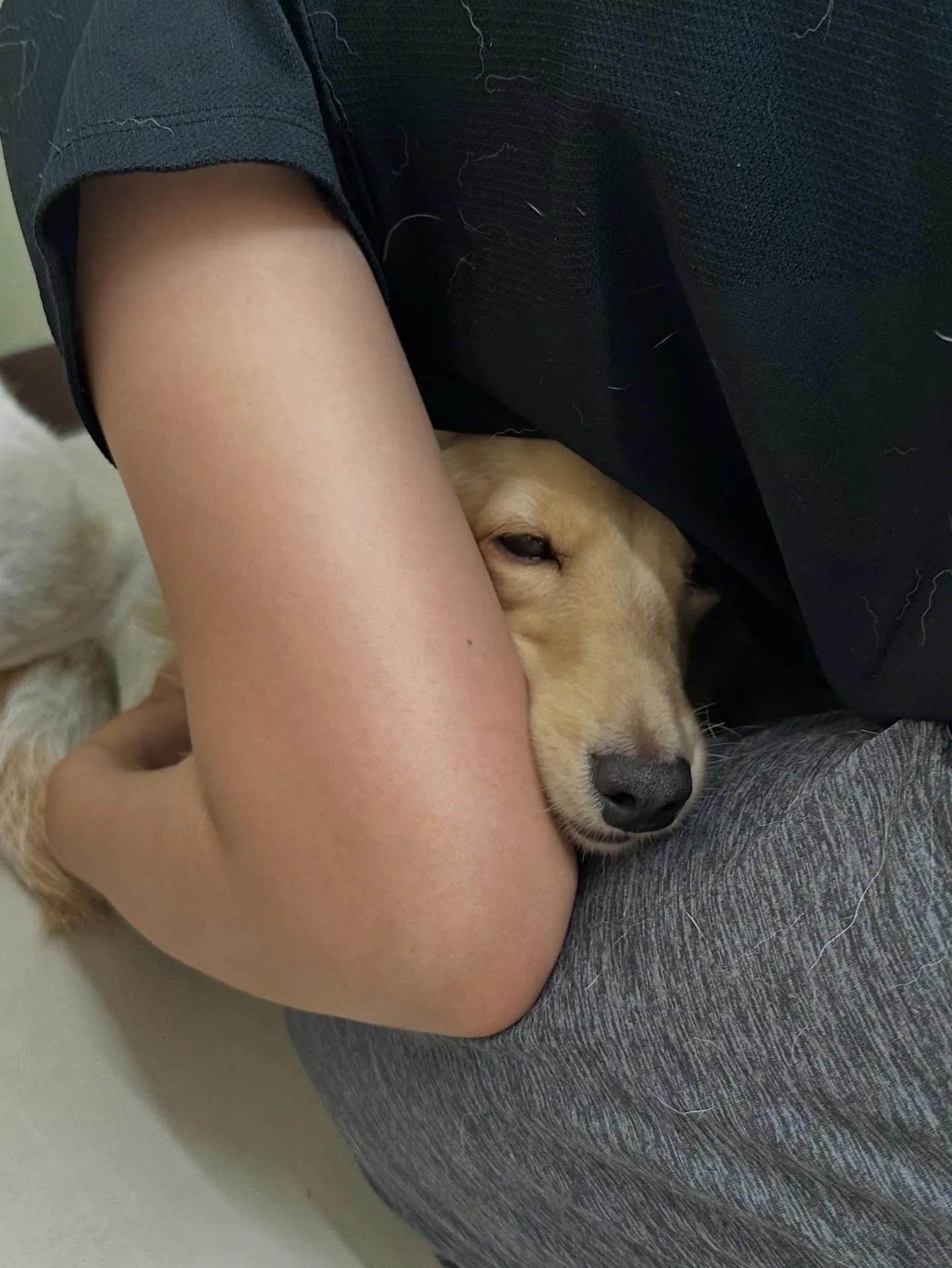 先月アップしきれなかったわんこさんたち🐾