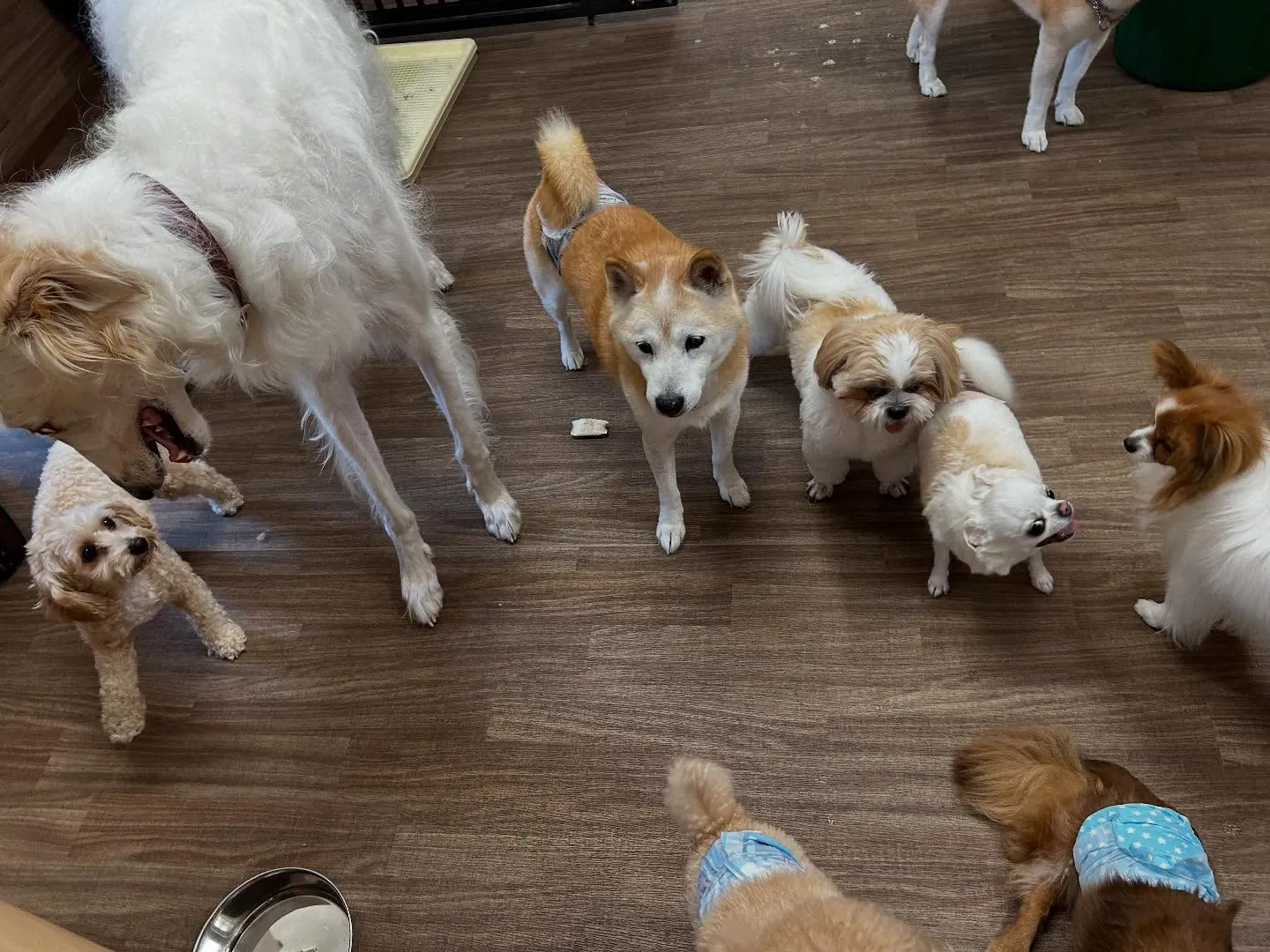 🌕9月のおすすめ商品🌕