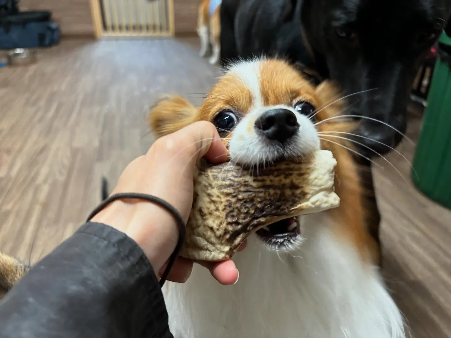 🌕9月のおすすめ商品🌕