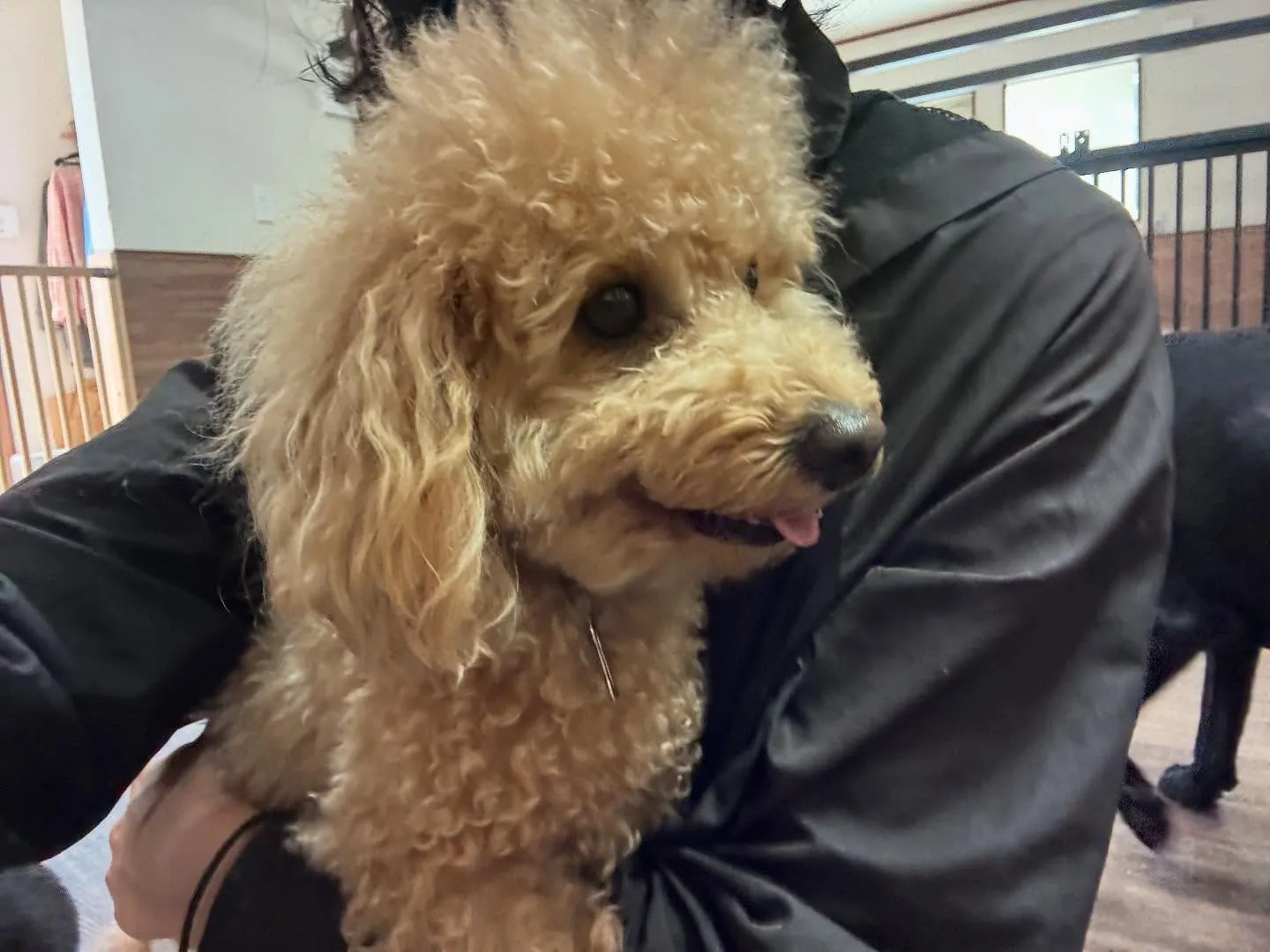 🌕9月のおすすめ商品🌕