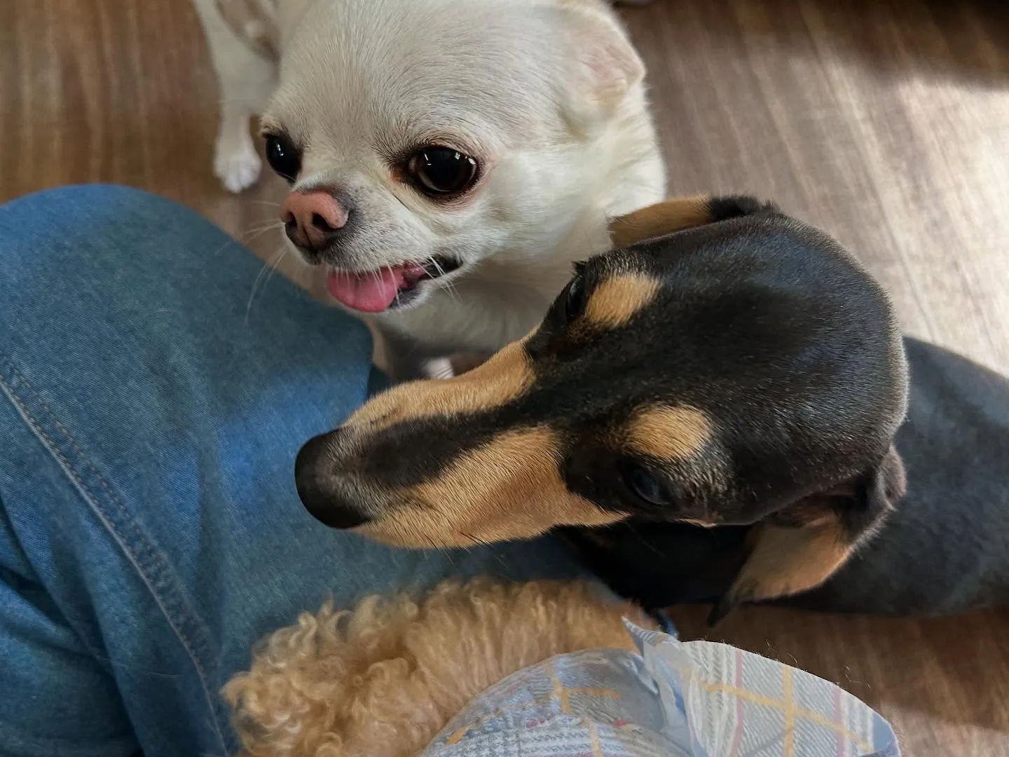 🌕9月のおすすめ商品🌕