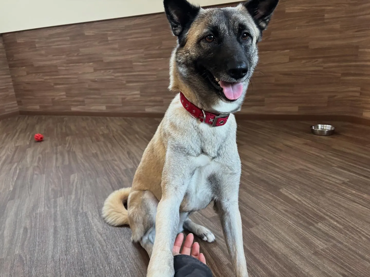 🌕9月のおすすめ商品🌕