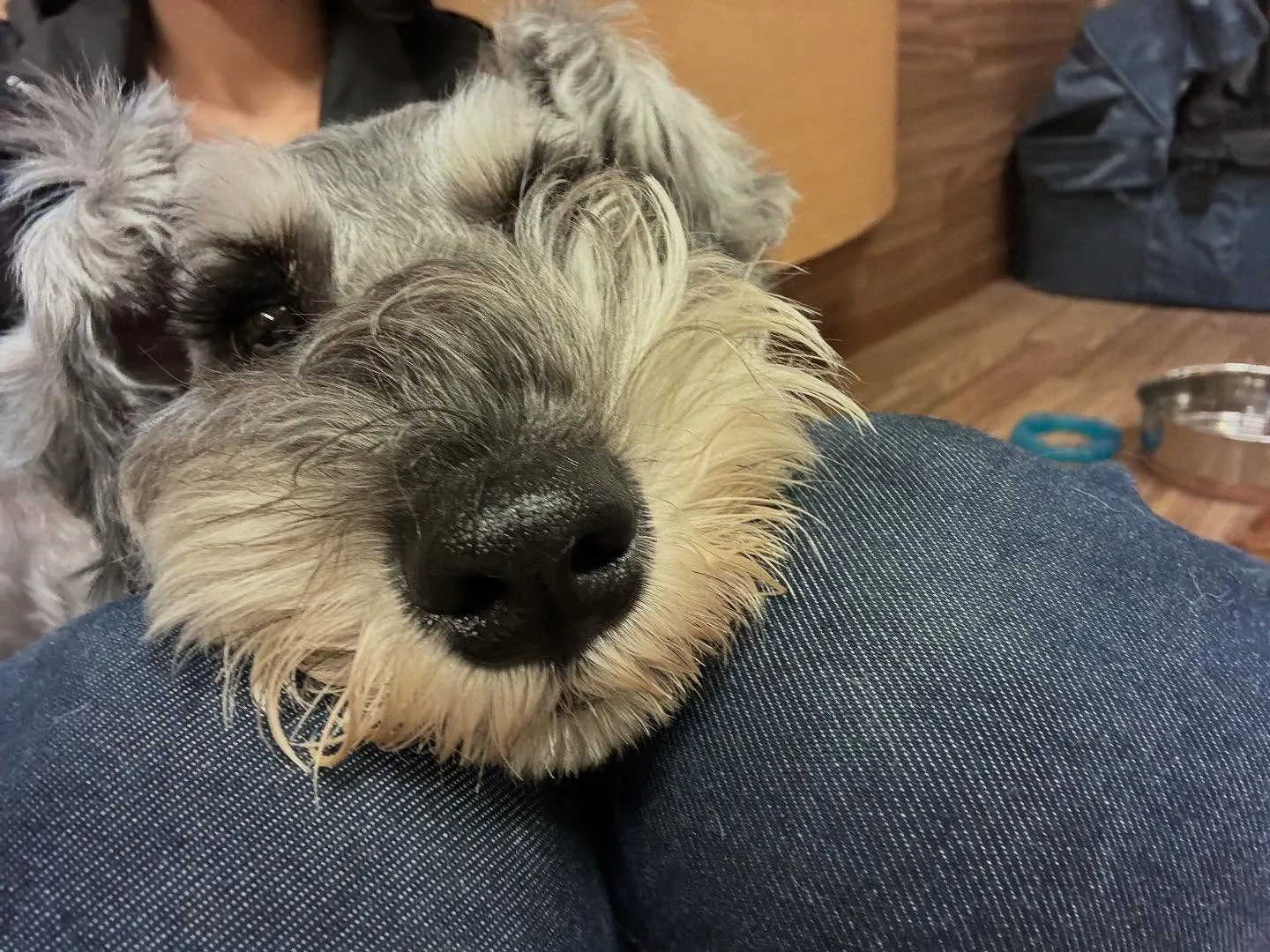 🌕9月のおすすめ商品🌕