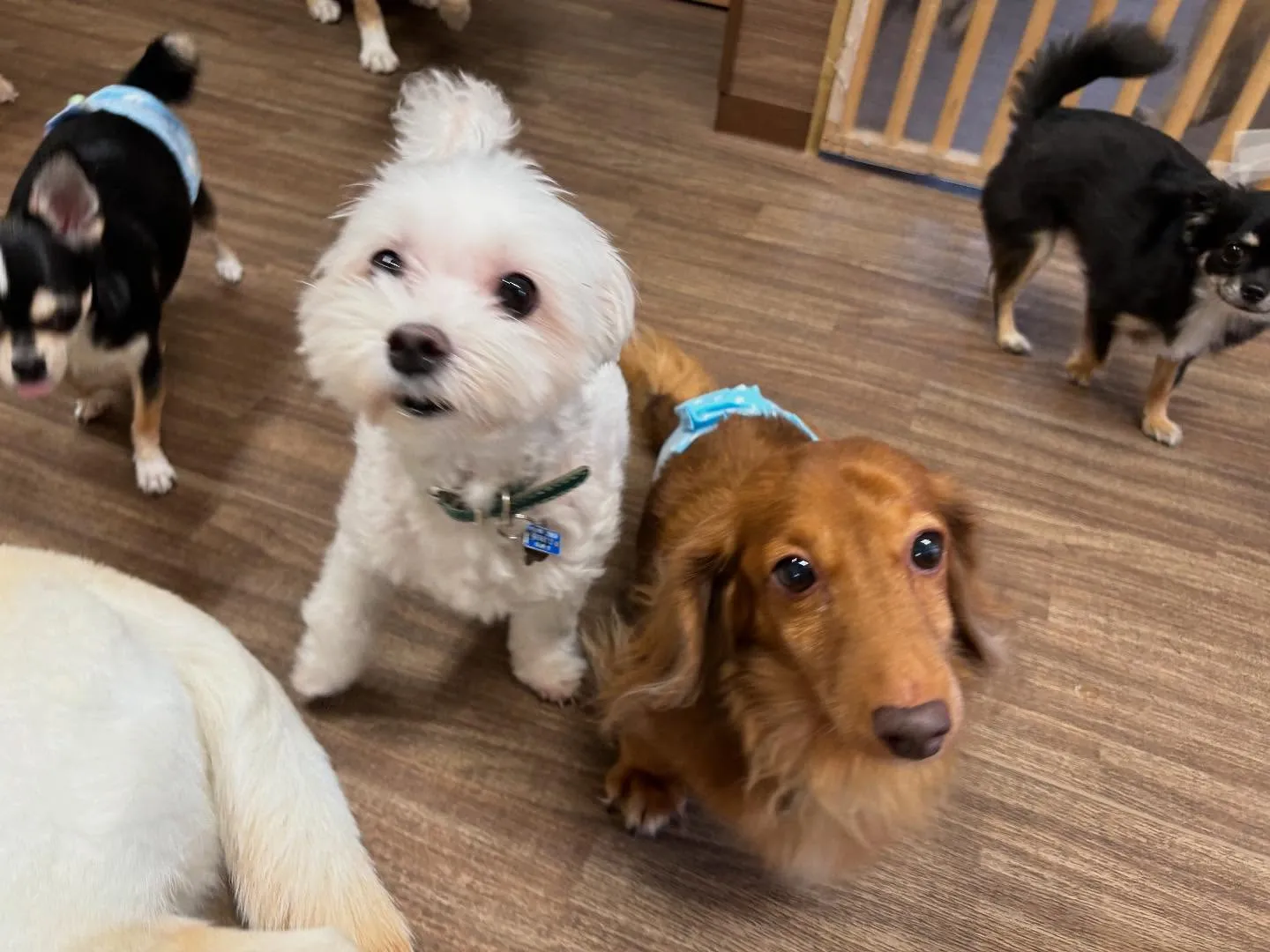 🌕9月のおすすめ商品🌕