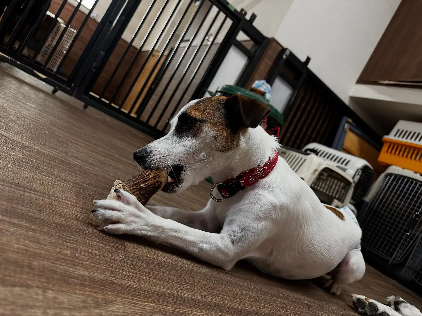 🌕9月のおすすめ商品🌕