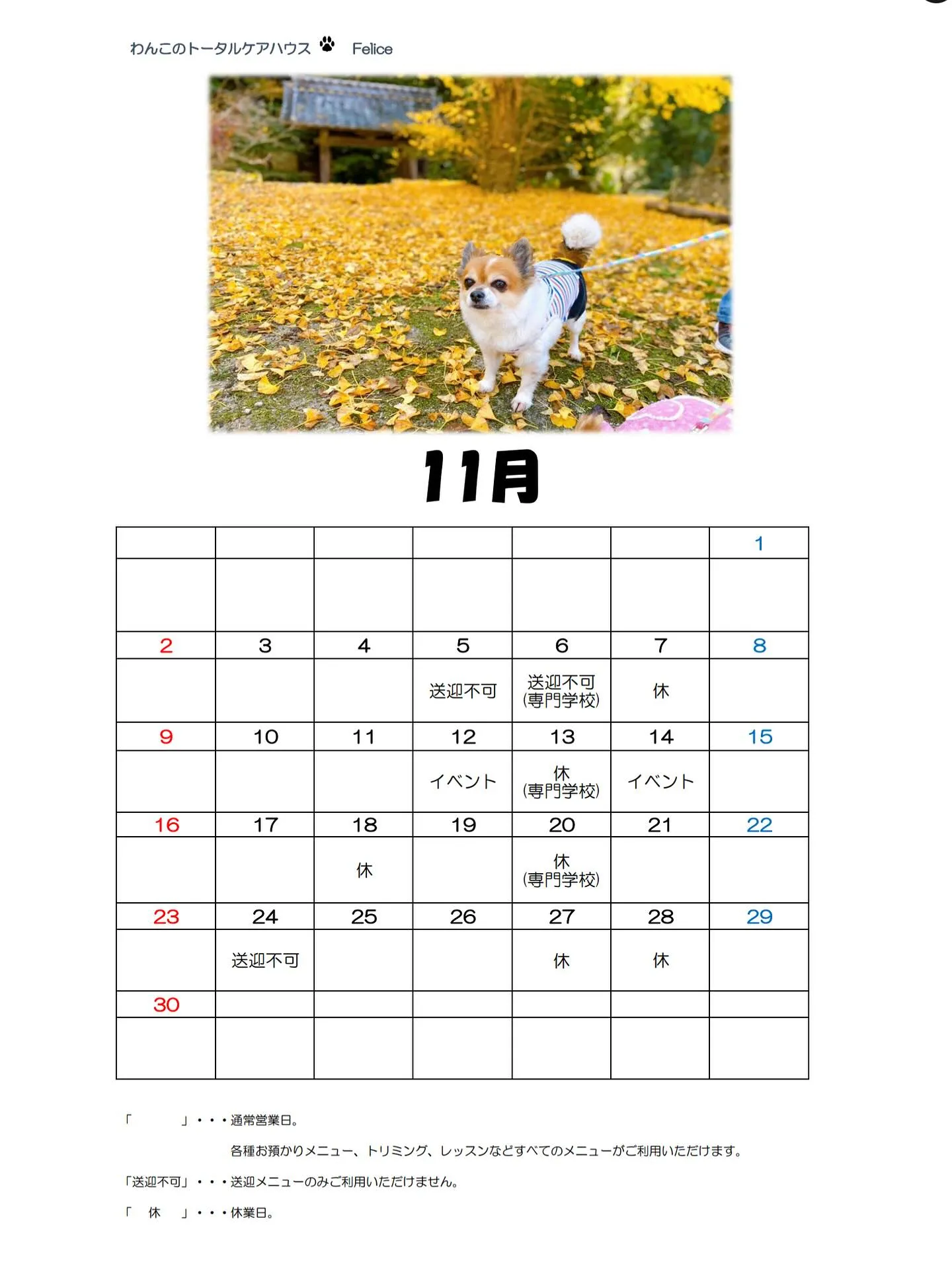 11月の営業カレンダーです🍁