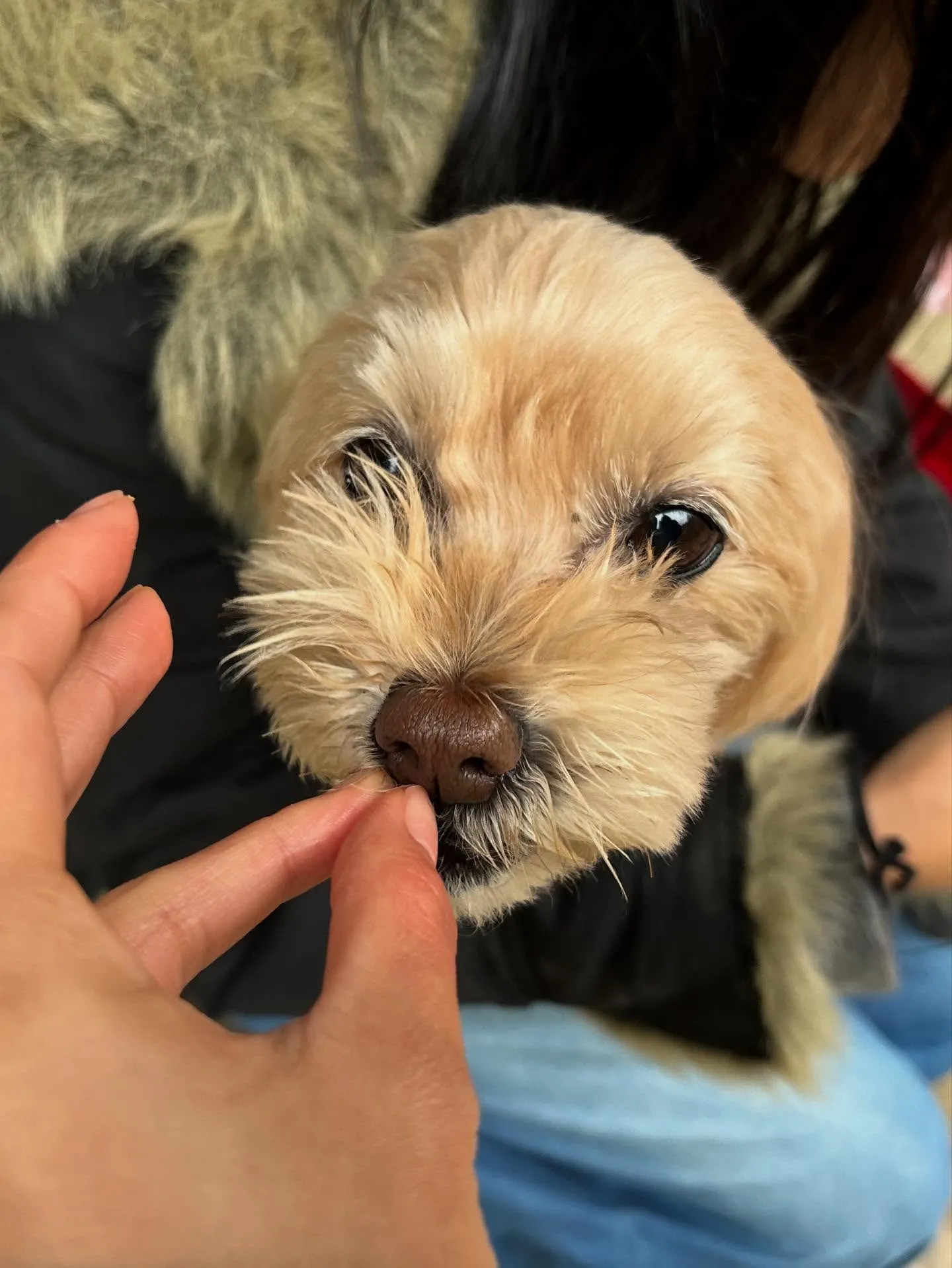 11月の営業カレンダーです🍁