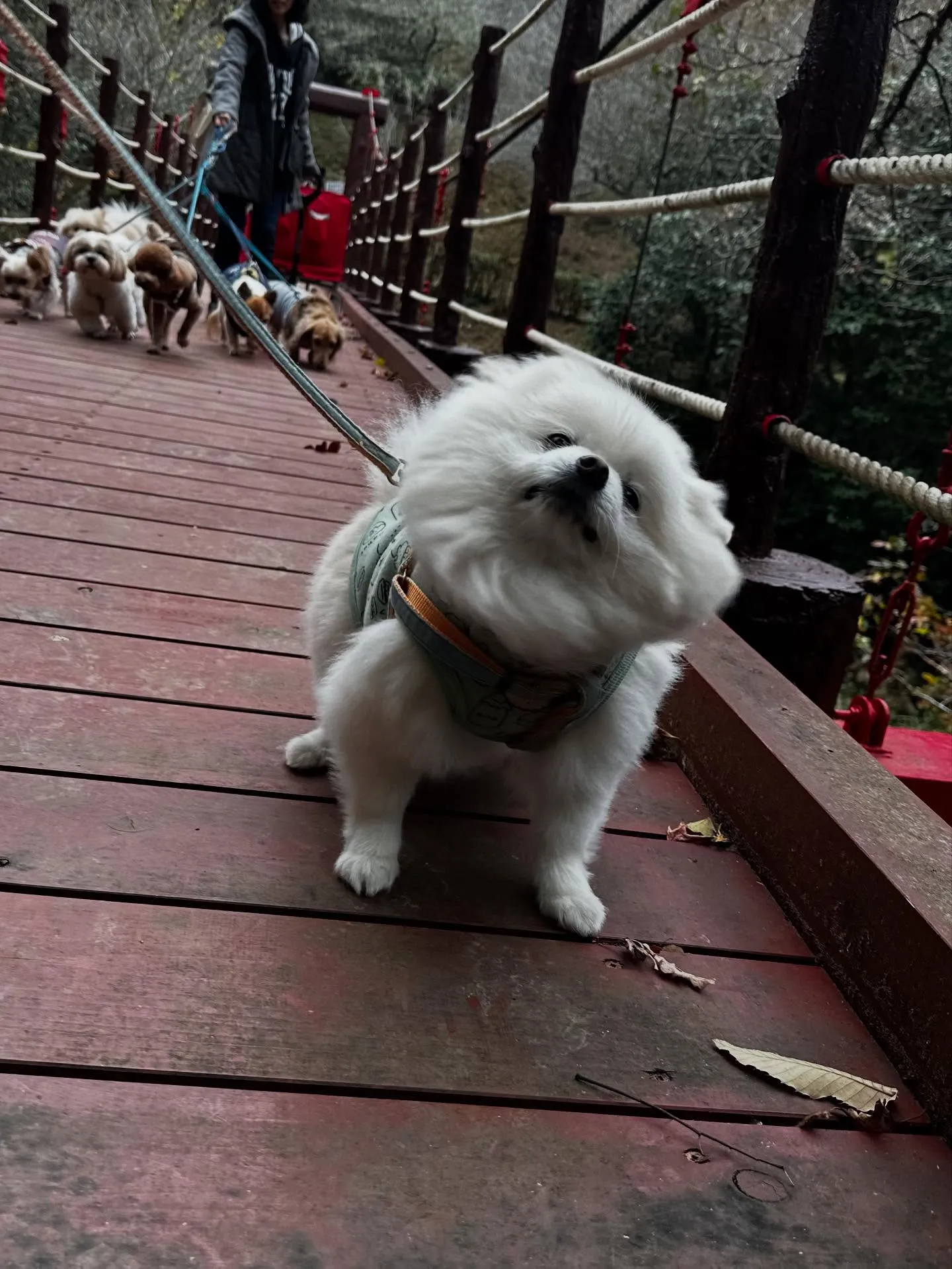 11月の営業カレンダーです🍁