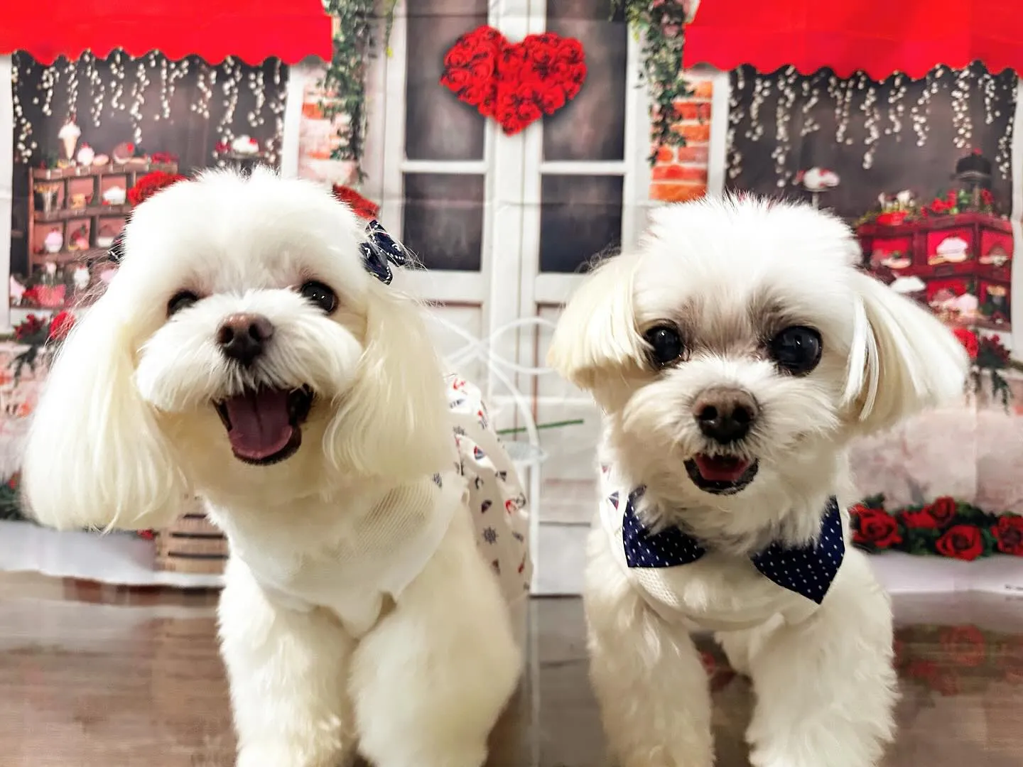 8月の写真撮影会イベントで撮った写真で作ったカバンが続々とお...