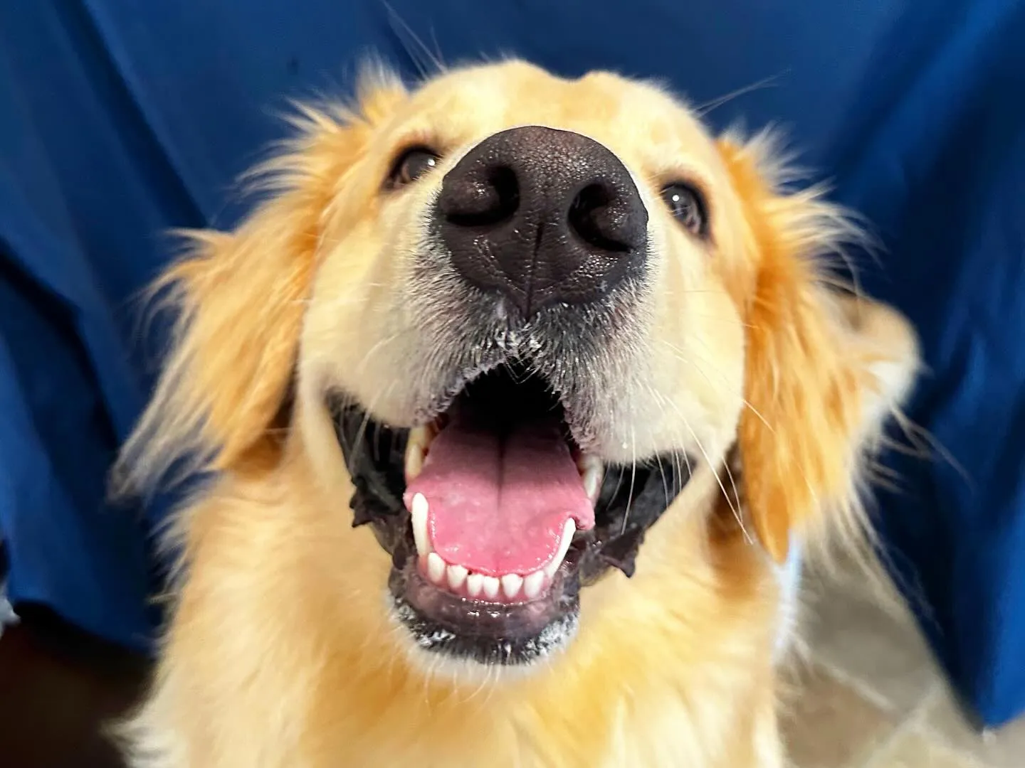 8月の写真撮影会イベントで撮った写真で作ったカバンが続々とお...