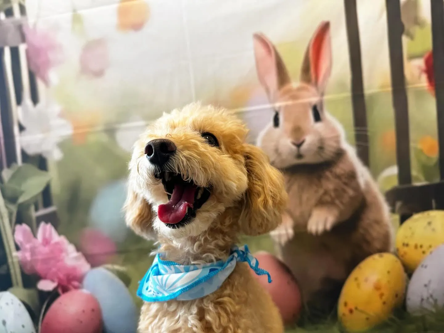 8月の写真撮影会イベントで撮った写真で作ったカバンが続々とお...