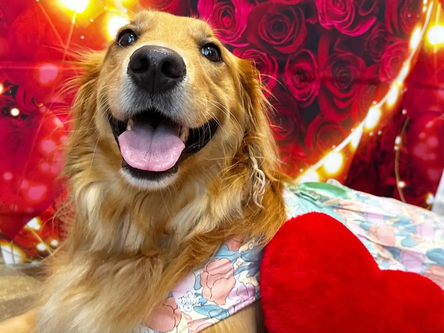 8月の写真撮影会イベントで撮った写真で作ったカバンが続々とお...