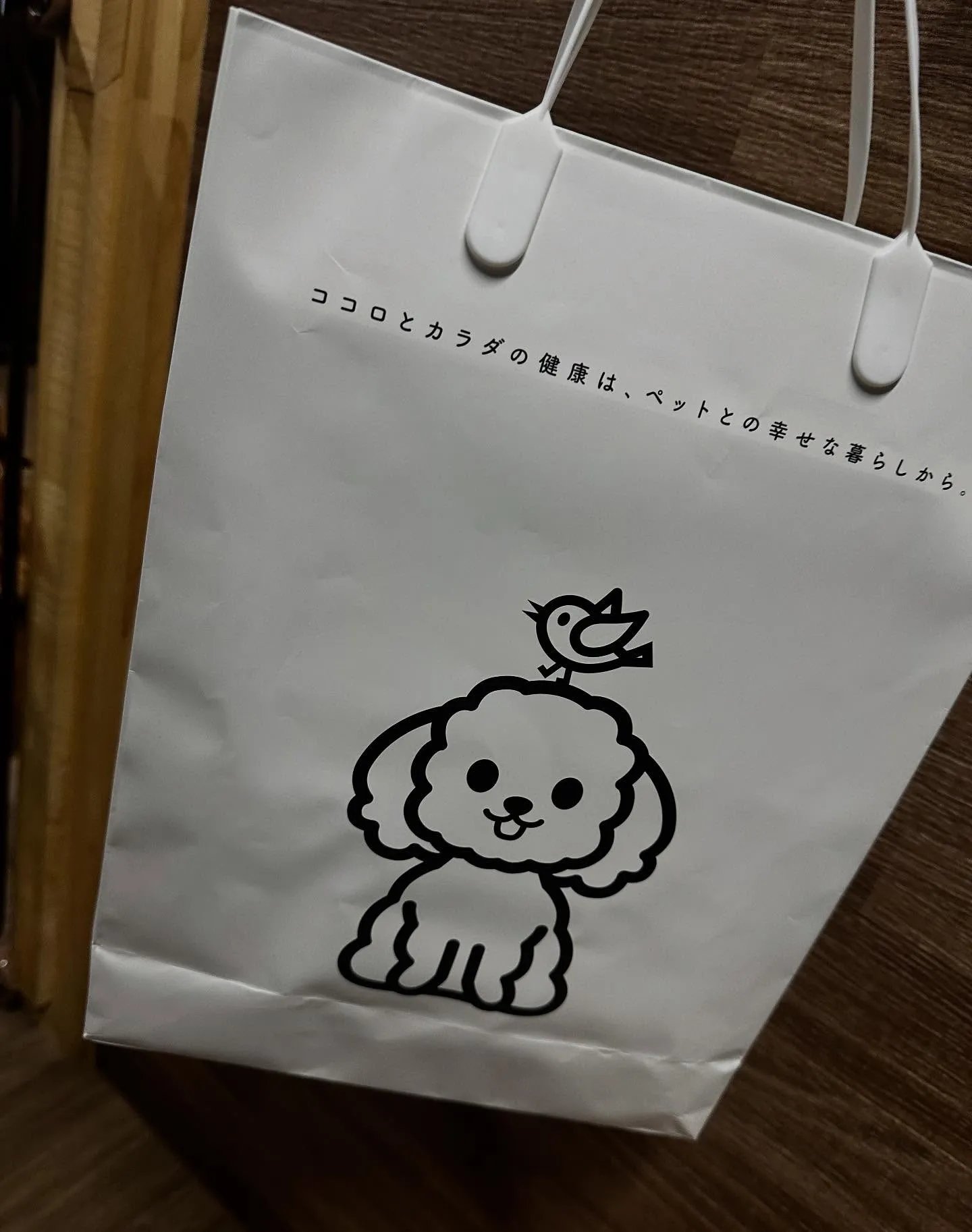 今日はジャペルの展示会に行ってきました✨️