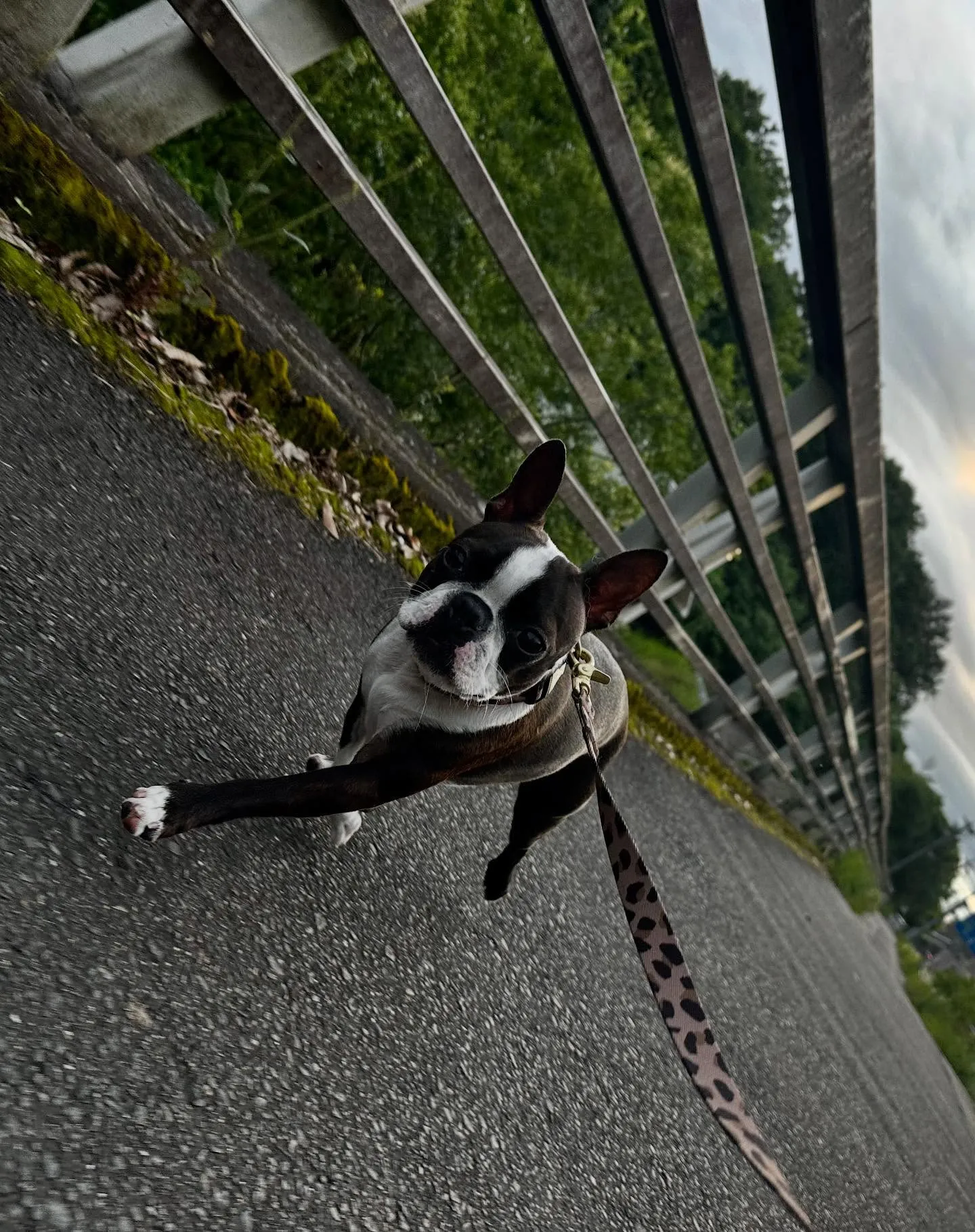 今日はジャペルの展示会に行ってきました✨️