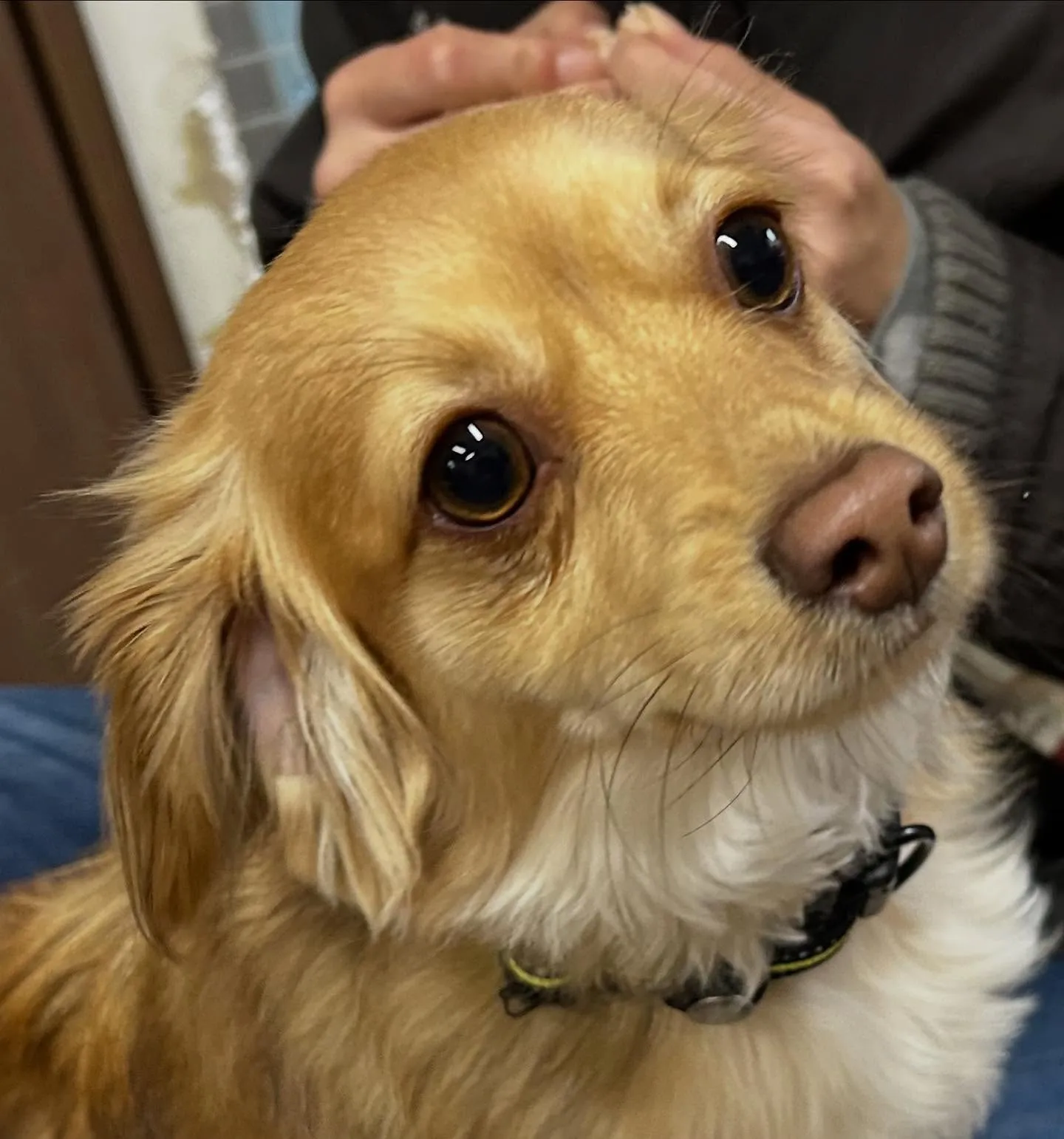 入会してくれた蓮くんです🌼