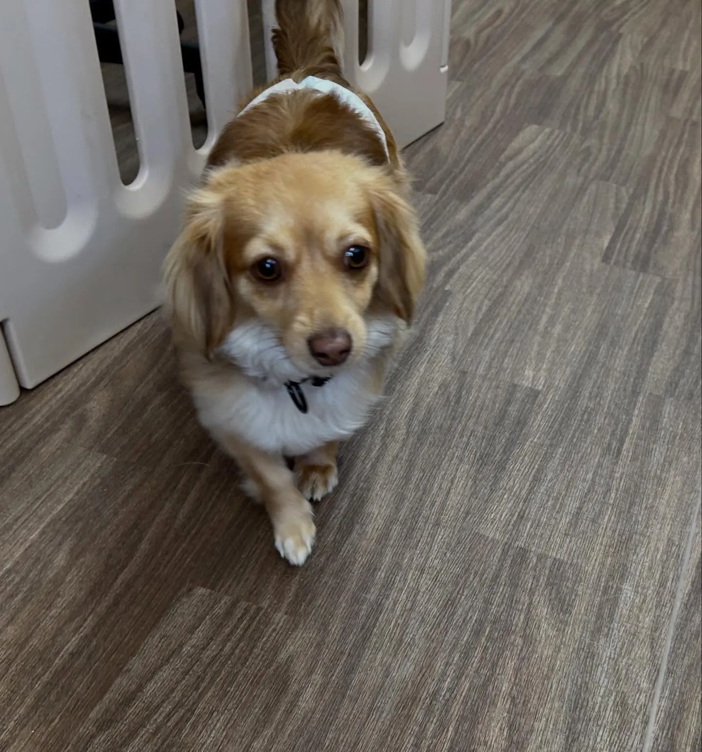 入会してくれた蓮くんです🌼