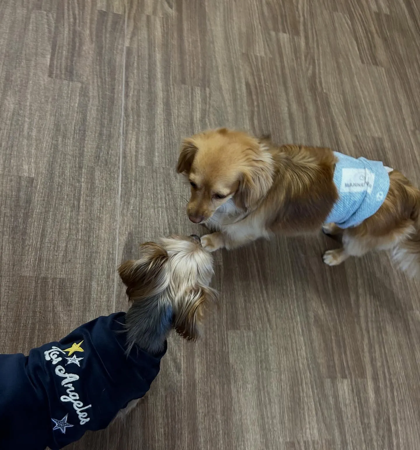 入会してくれた蓮くんです🌼