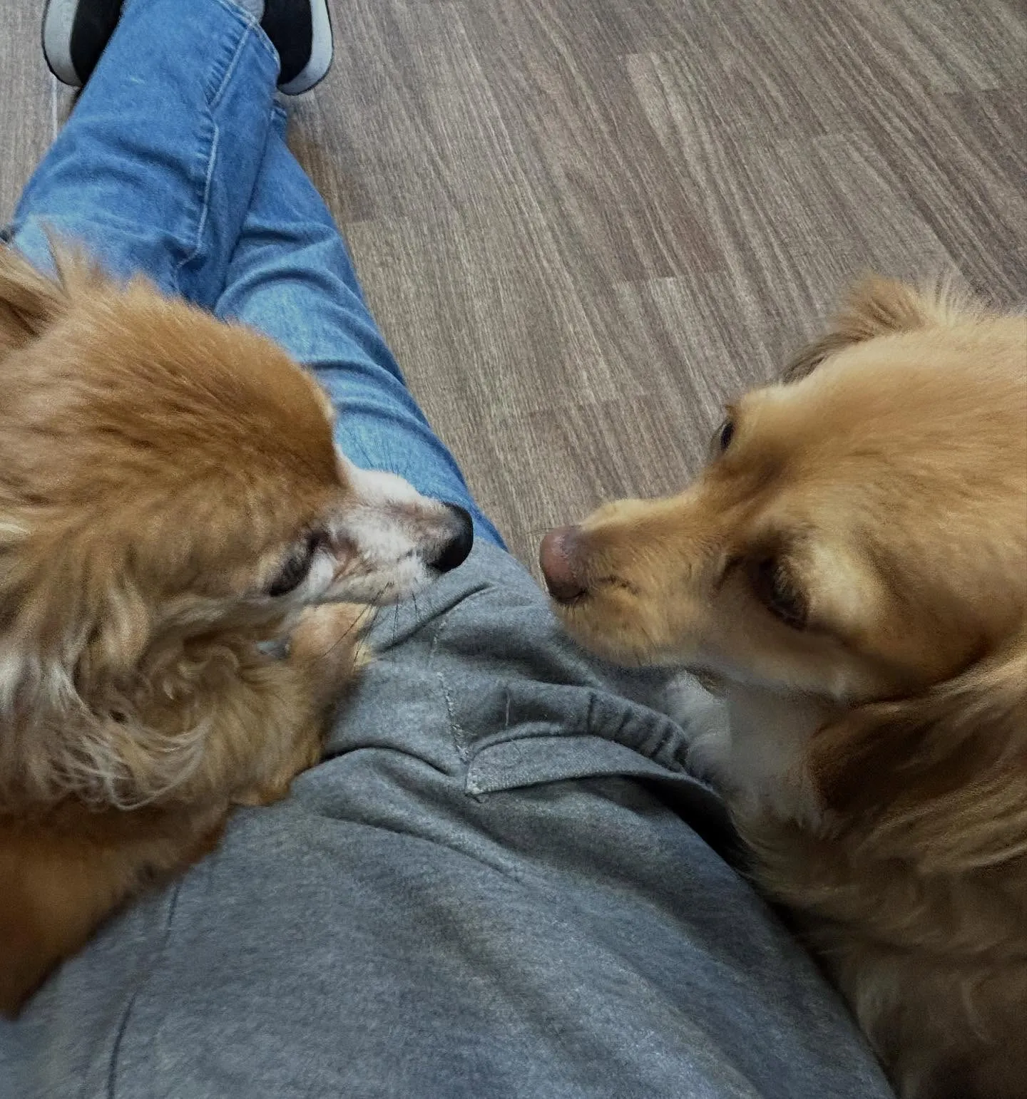 入会してくれた蓮くんです🌼