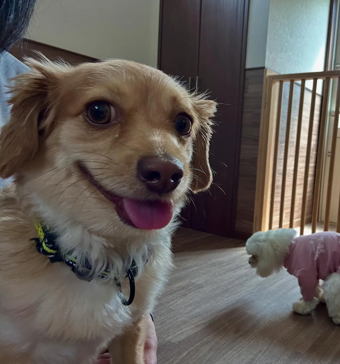 入会してくれた蓮くんです🌼