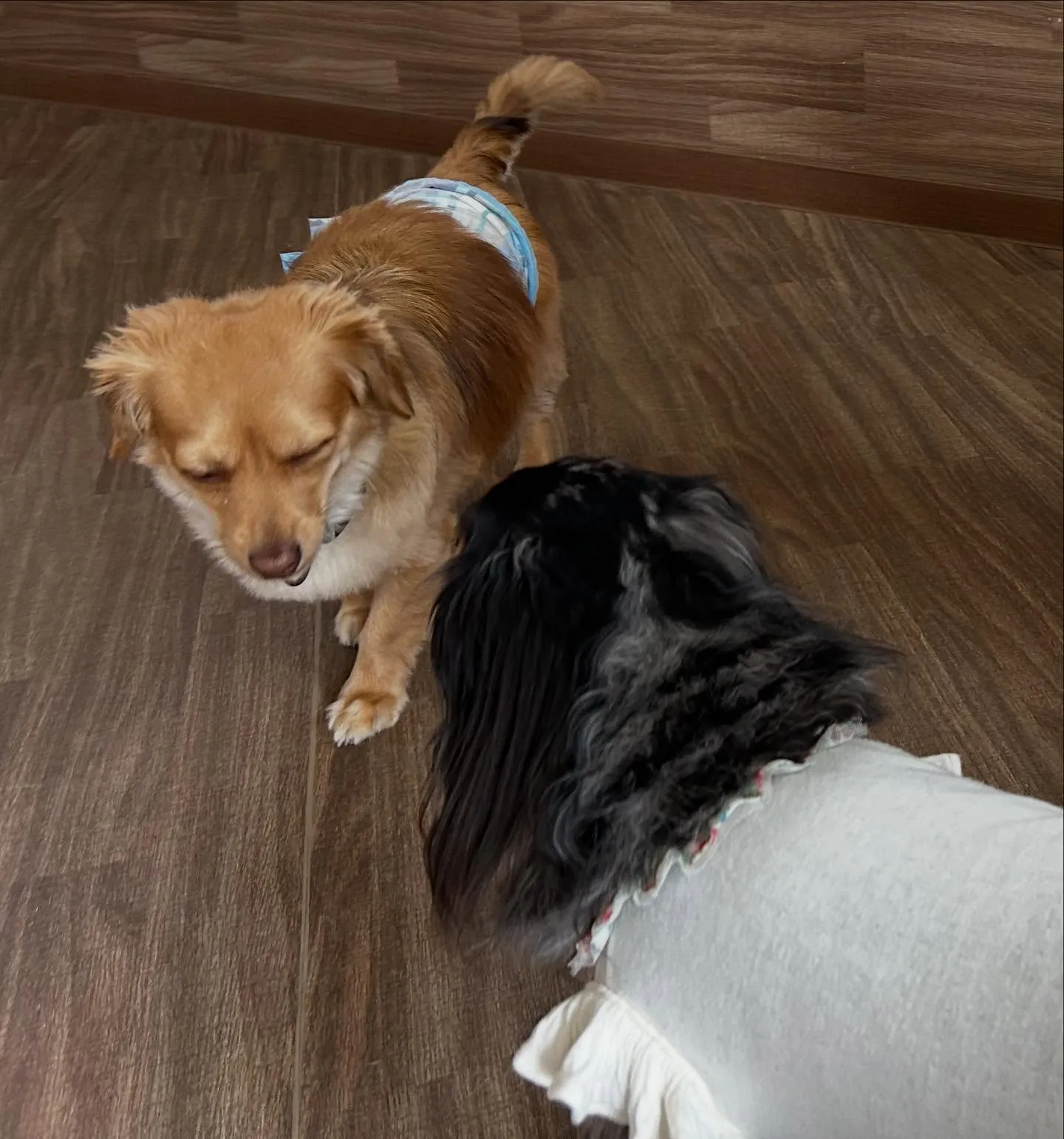 入会してくれた蓮くんです🌼