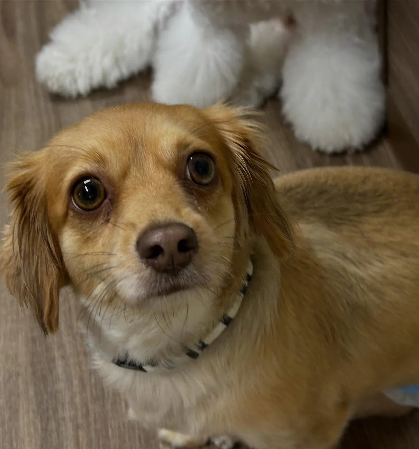 入会してくれた蓮くんです🌼