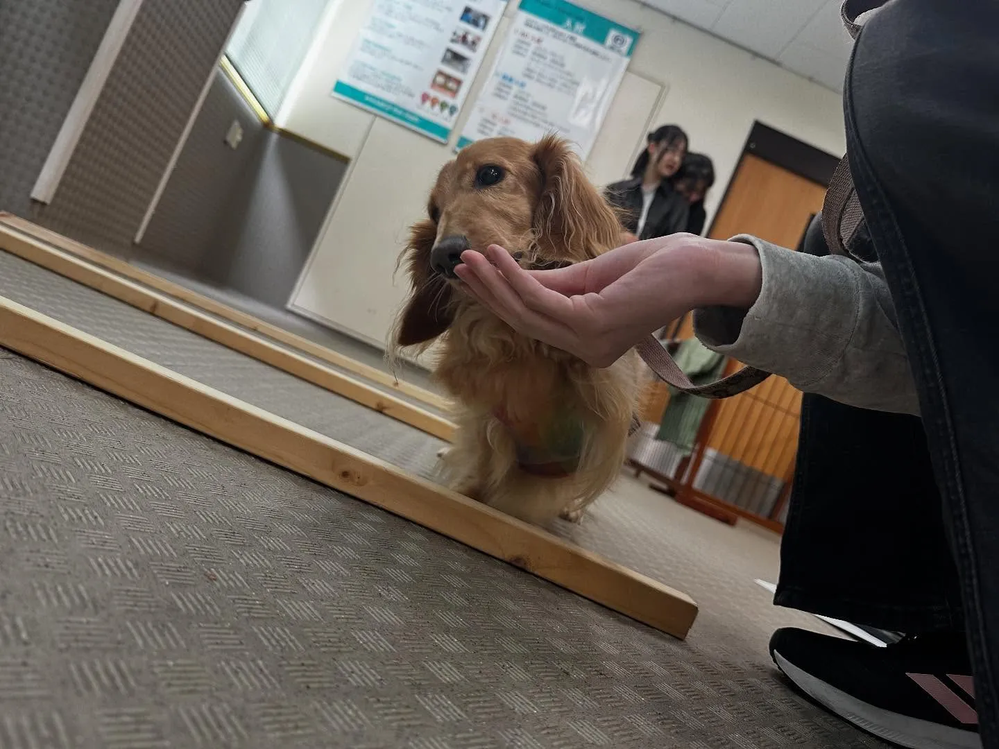 昨日は専門学校dayでした🏫