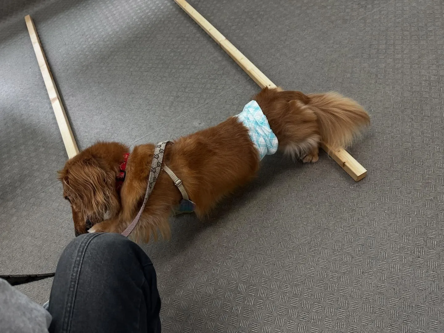 昨日は専門学校dayでした🏫