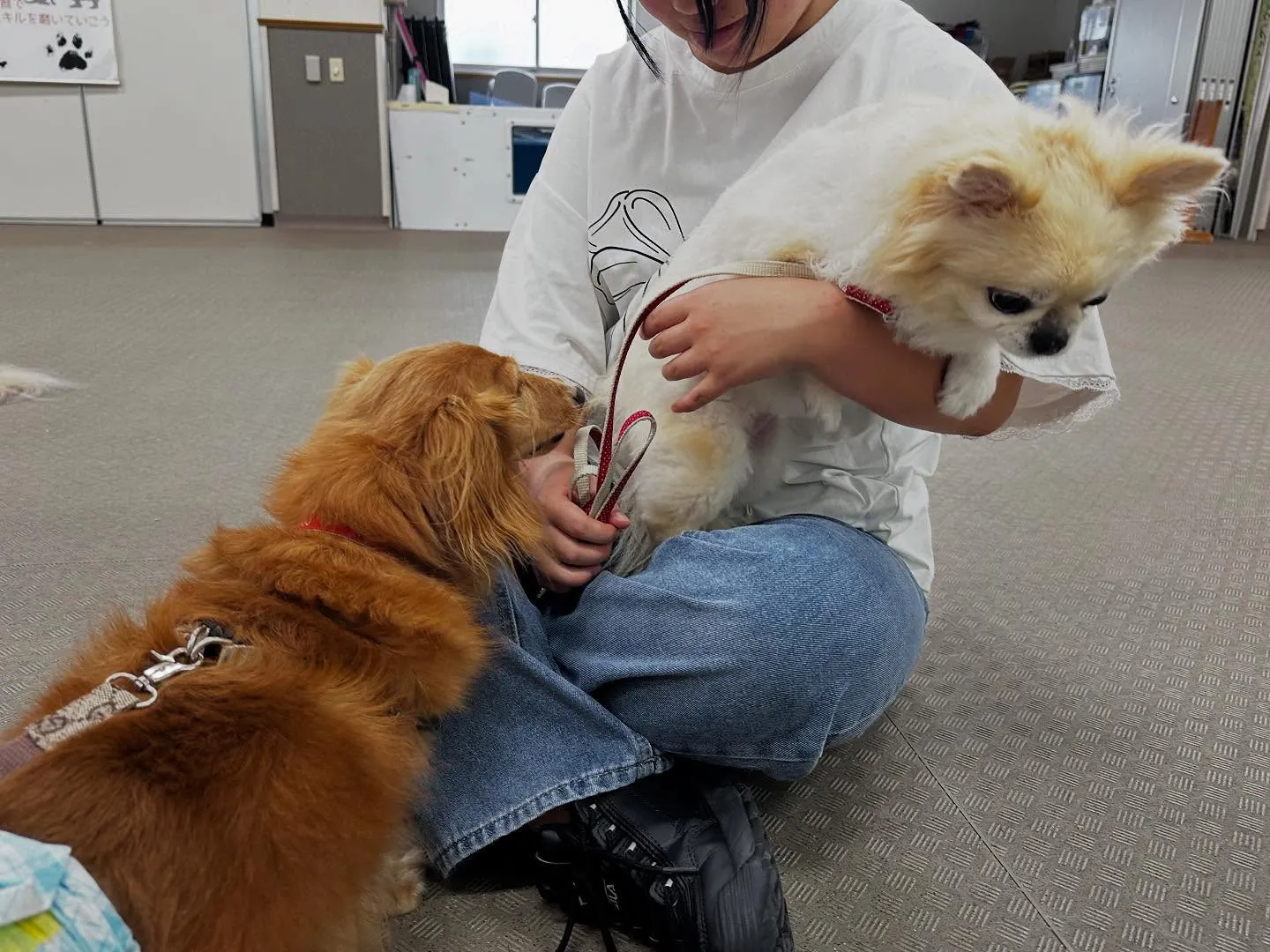 昨日は専門学校dayでした🏫