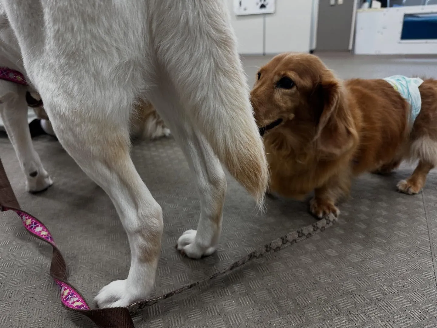 昨日は専門学校dayでした🏫