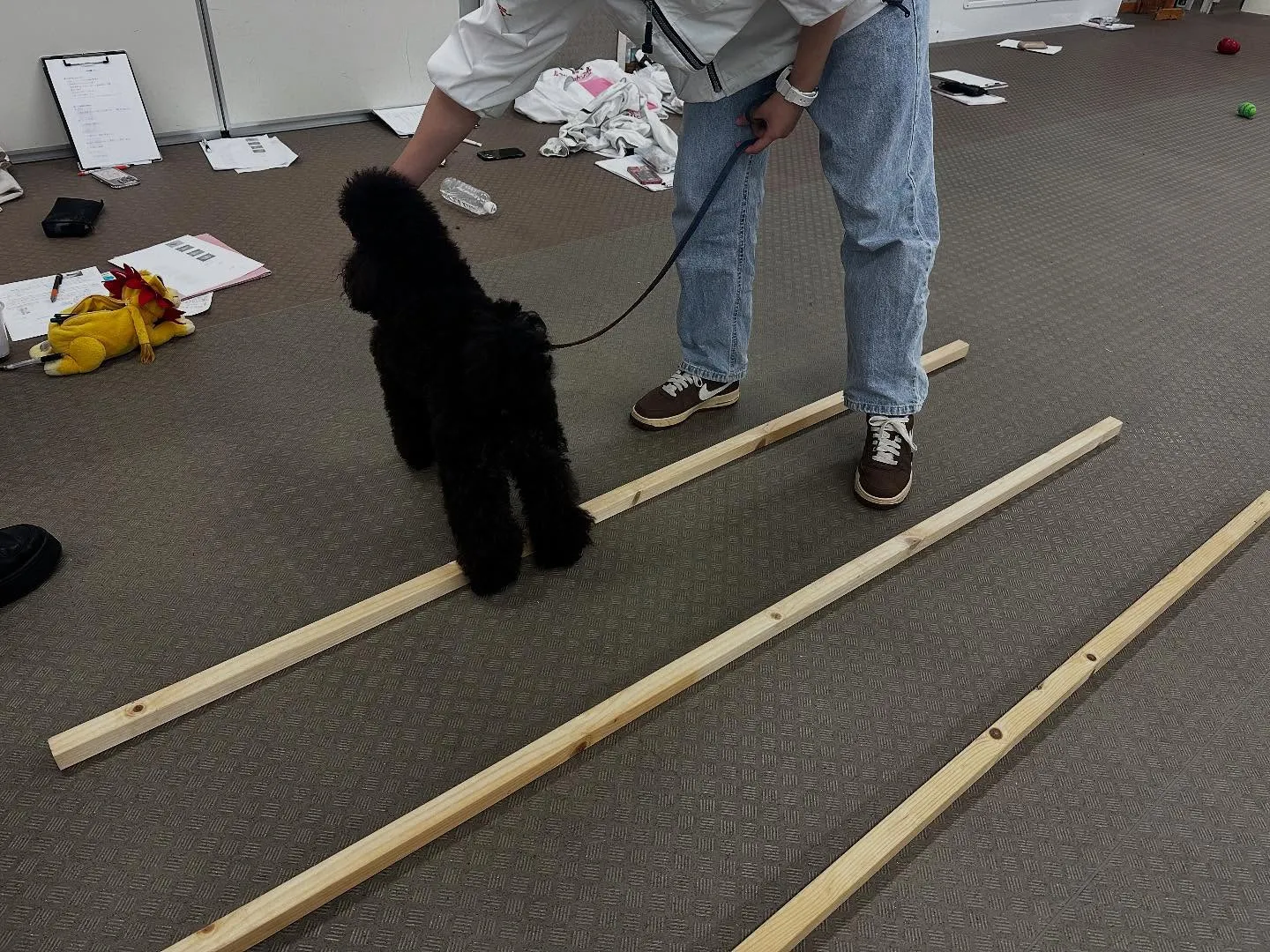 昨日は専門学校dayでした🏫