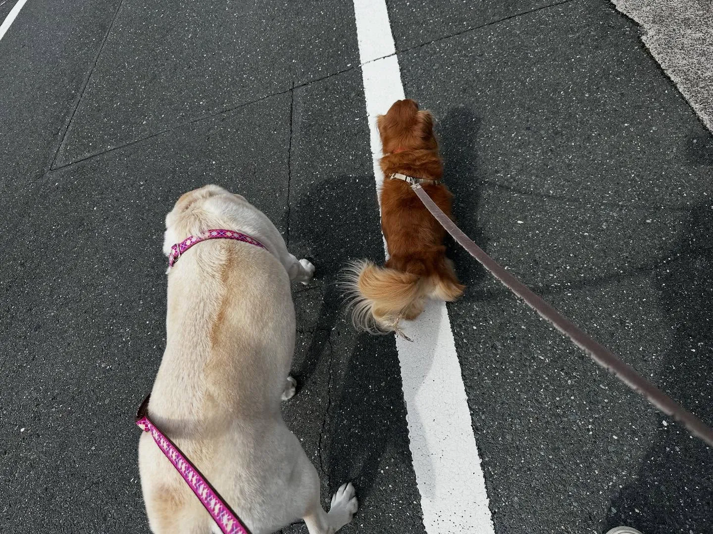昨日は専門学校dayでした🏫