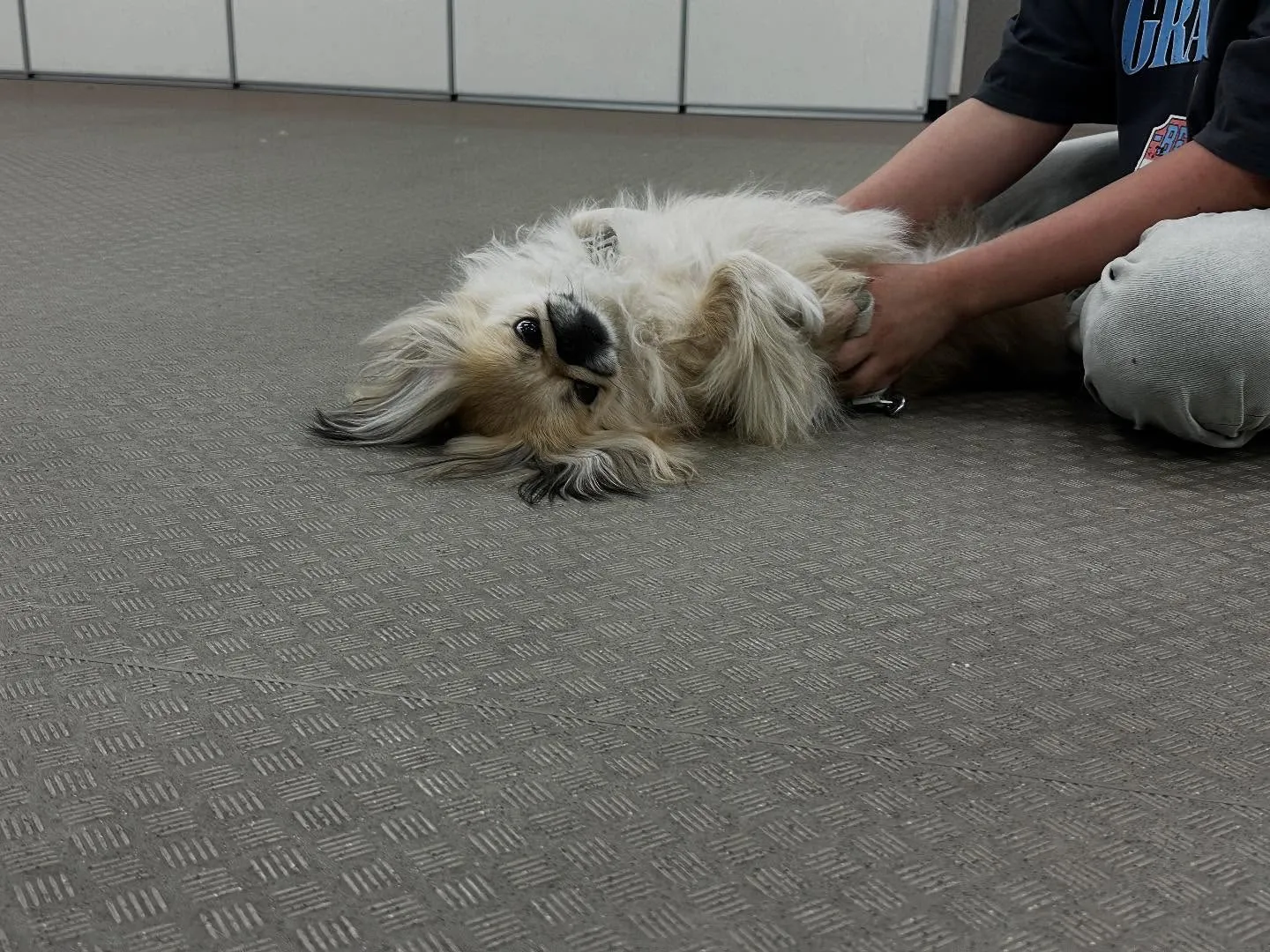 昨日は専門学校dayでした🏫