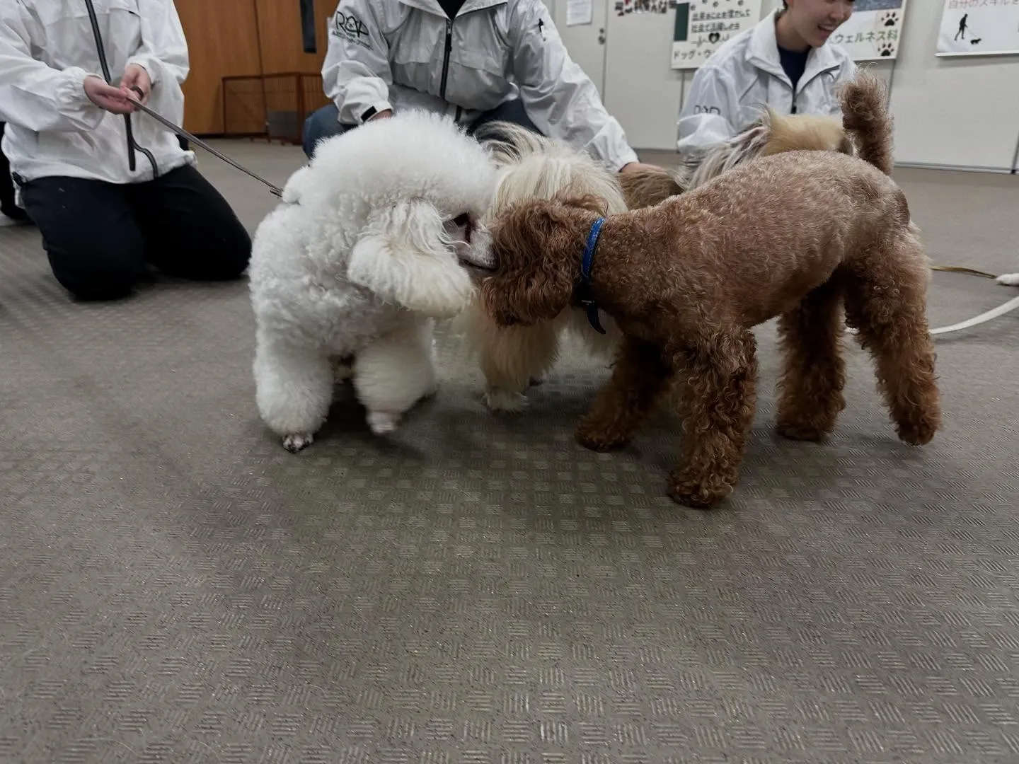 昨日は専門学校dayでした🏫