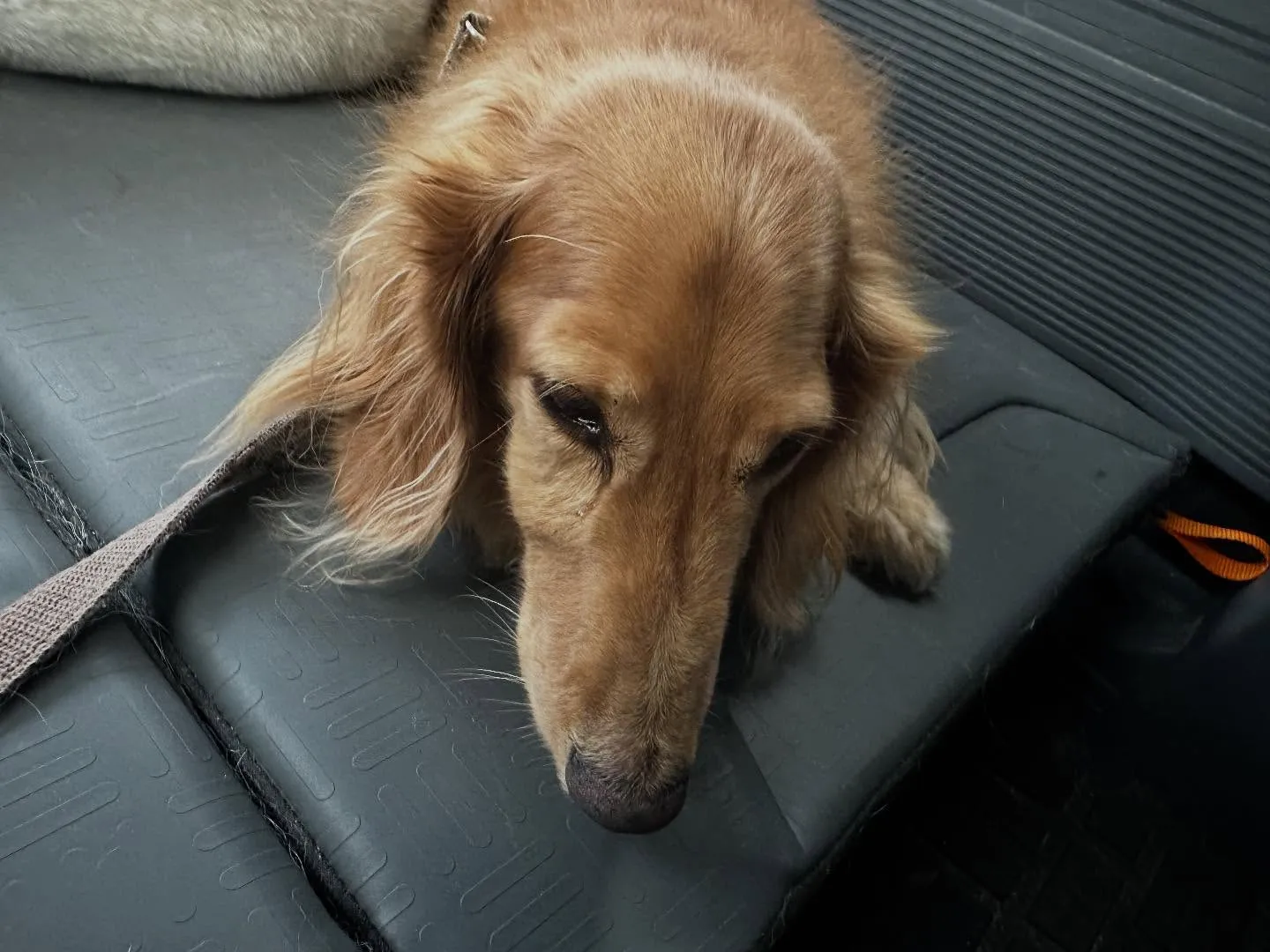 昨日は専門学校dayでした🏫