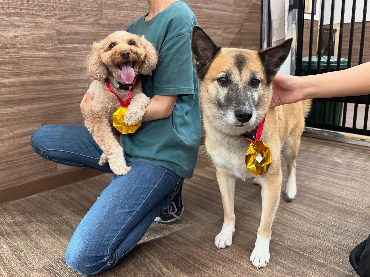 昨日は初イベントの体力測定イベント開催日でした🏃‍♂️🐾