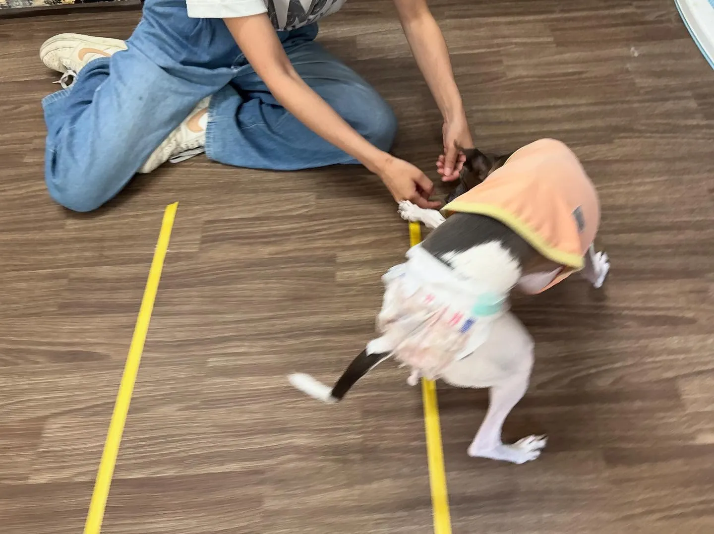 昨日は初イベントの体力測定イベント開催日でした🏃‍♂️🐾