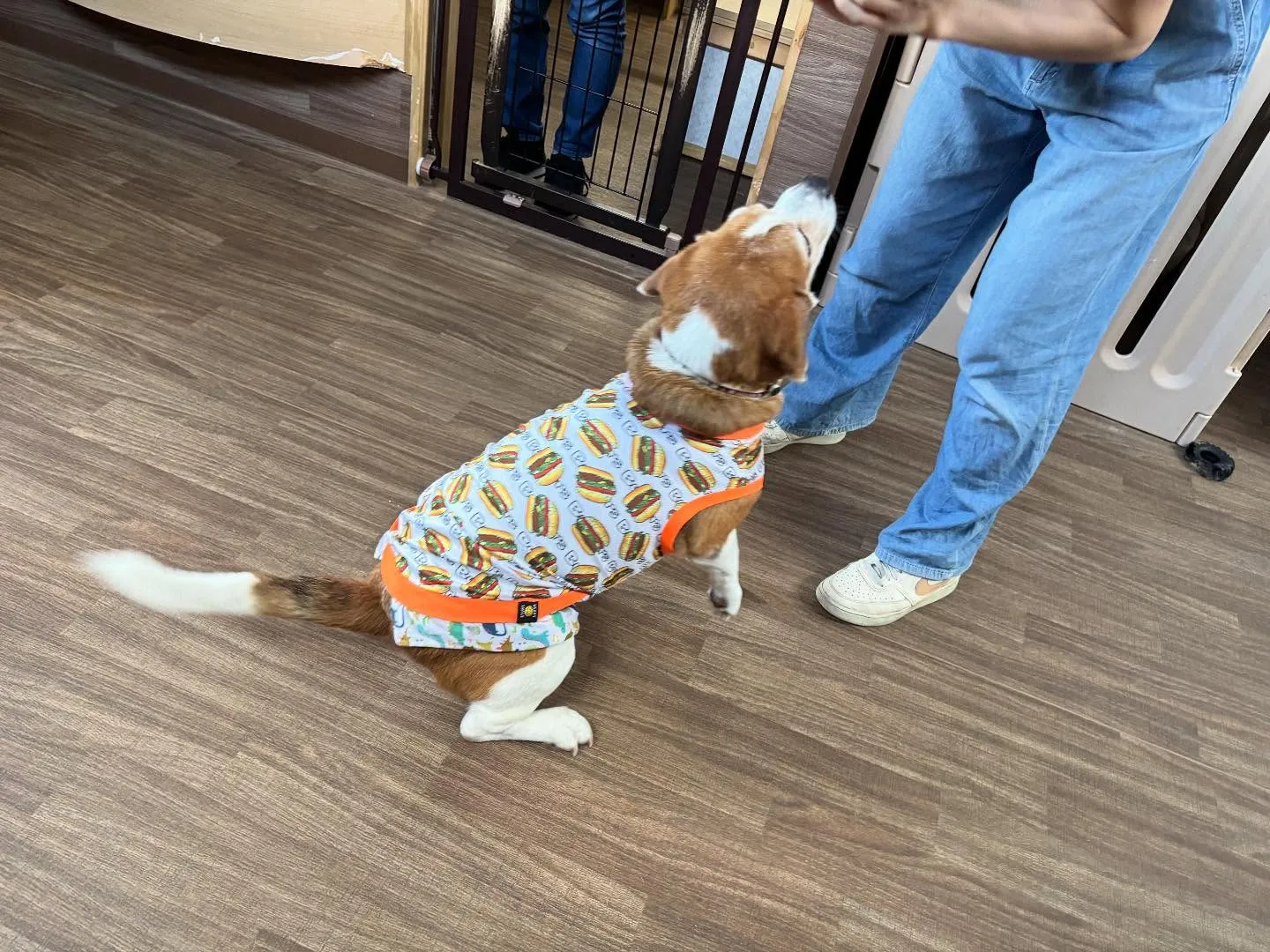 昨日は初イベントの体力測定イベント開催日でした🏃‍♂️🐾