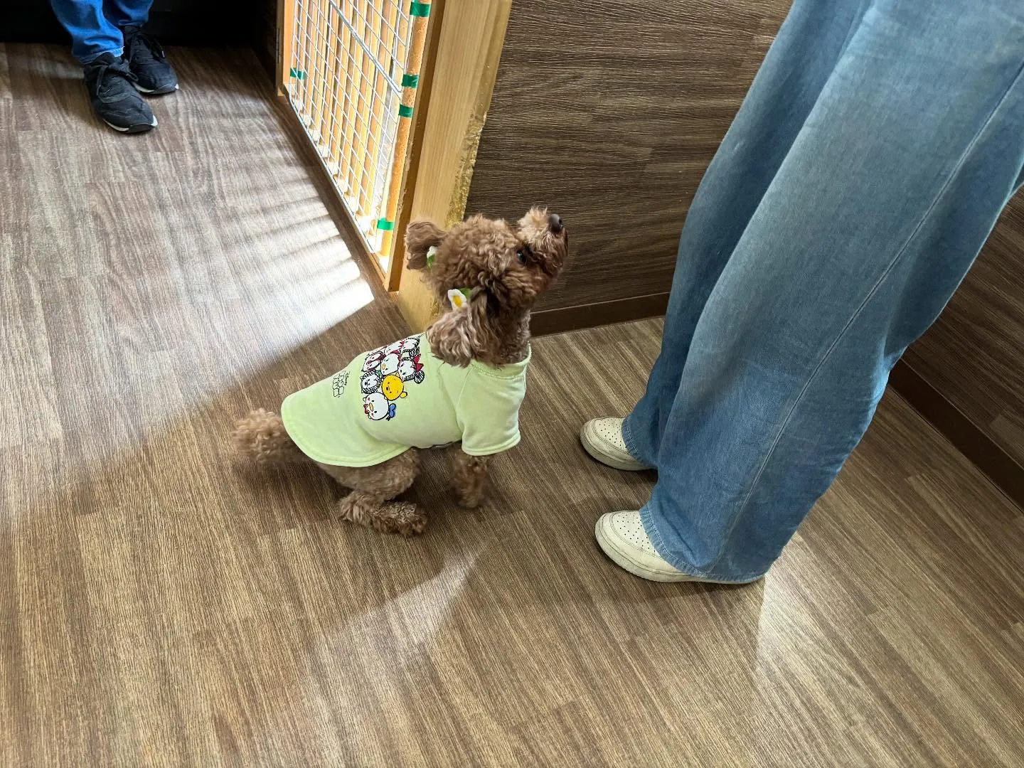 昨日は初イベントの体力測定イベント開催日でした🏃‍♂️🐾