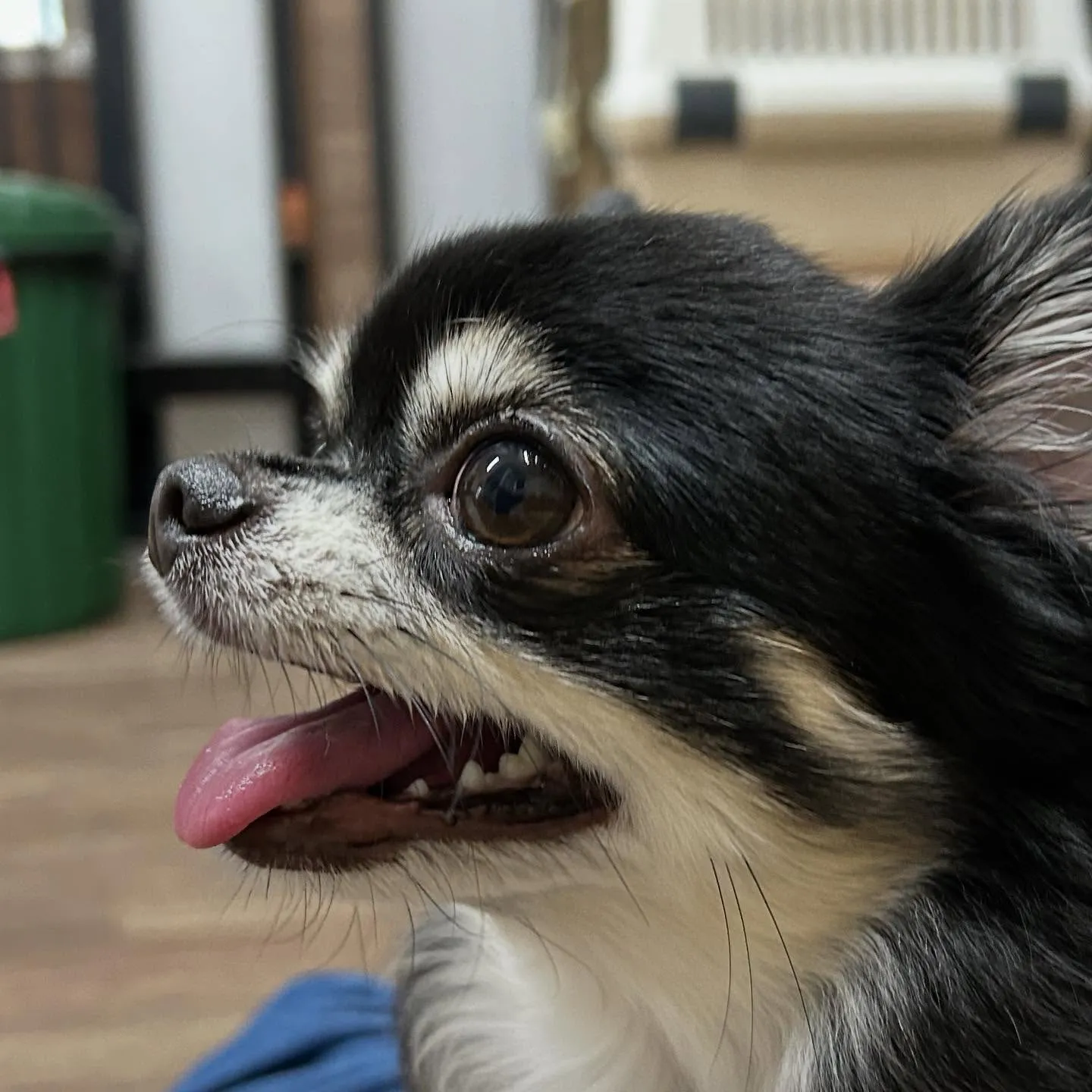 【オリジナル卓上カレンダーの販売受付開始します！】