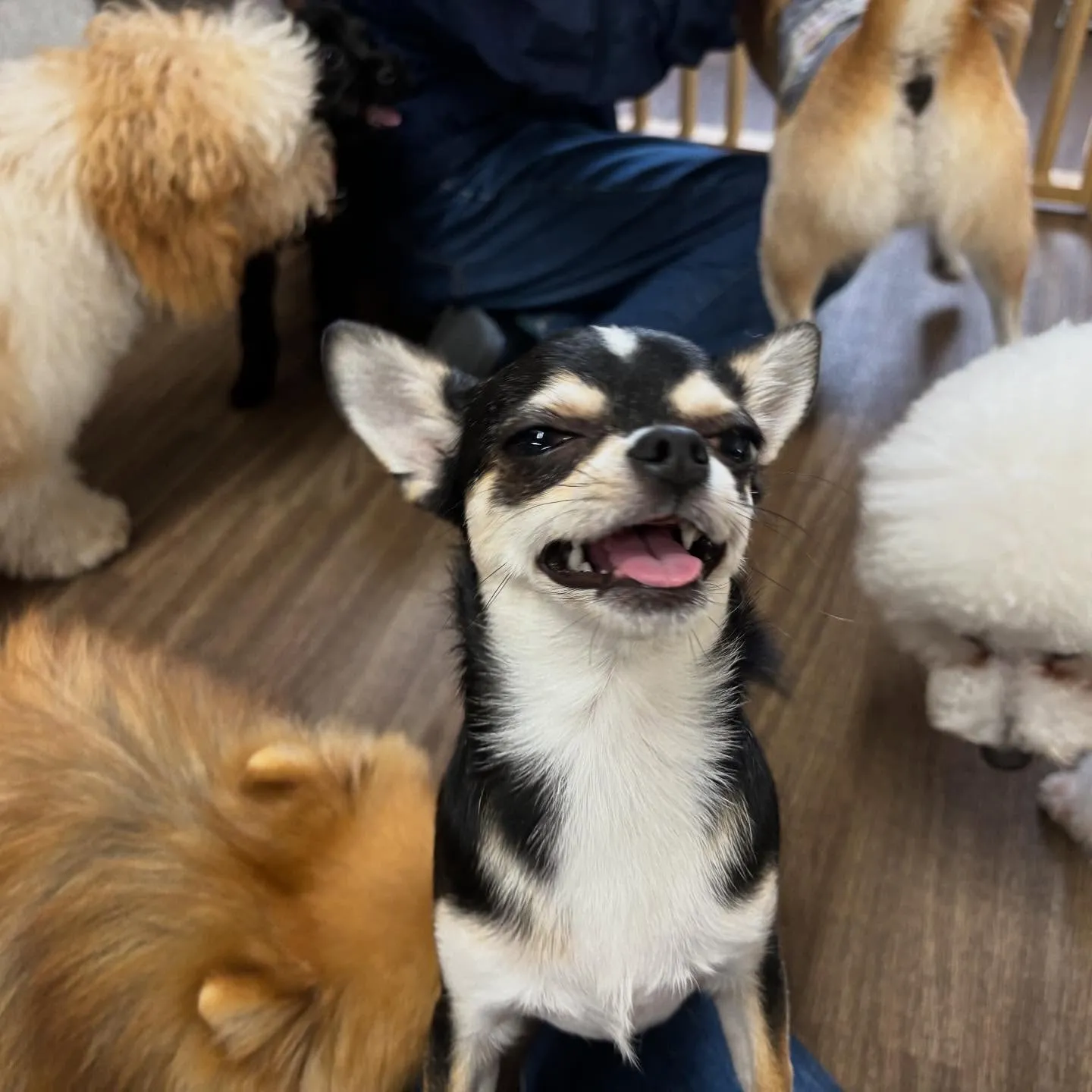 【オリジナル卓上カレンダーの販売受付開始します！】