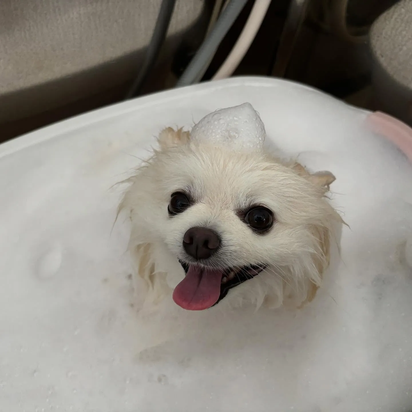 【オリジナル卓上カレンダーの販売受付開始します！】