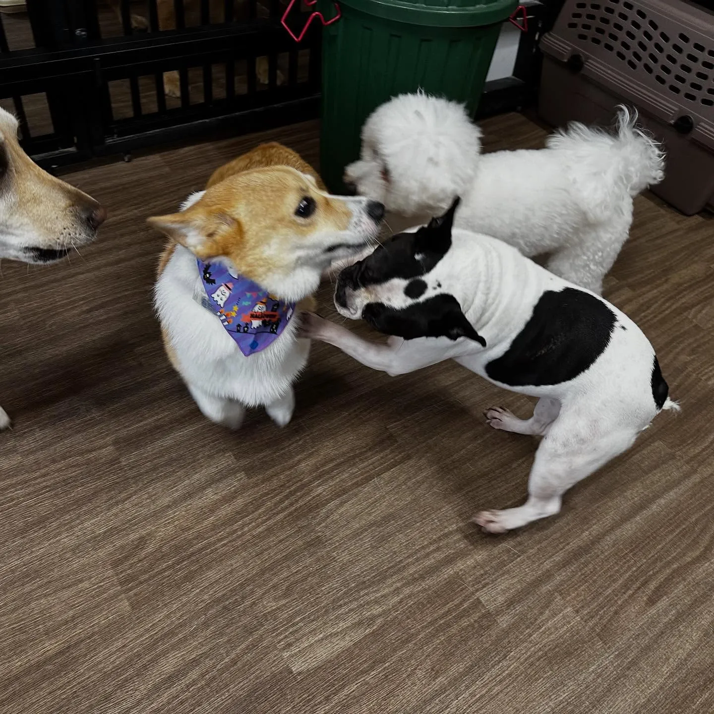 【オリジナル卓上カレンダーの販売受付開始します！】