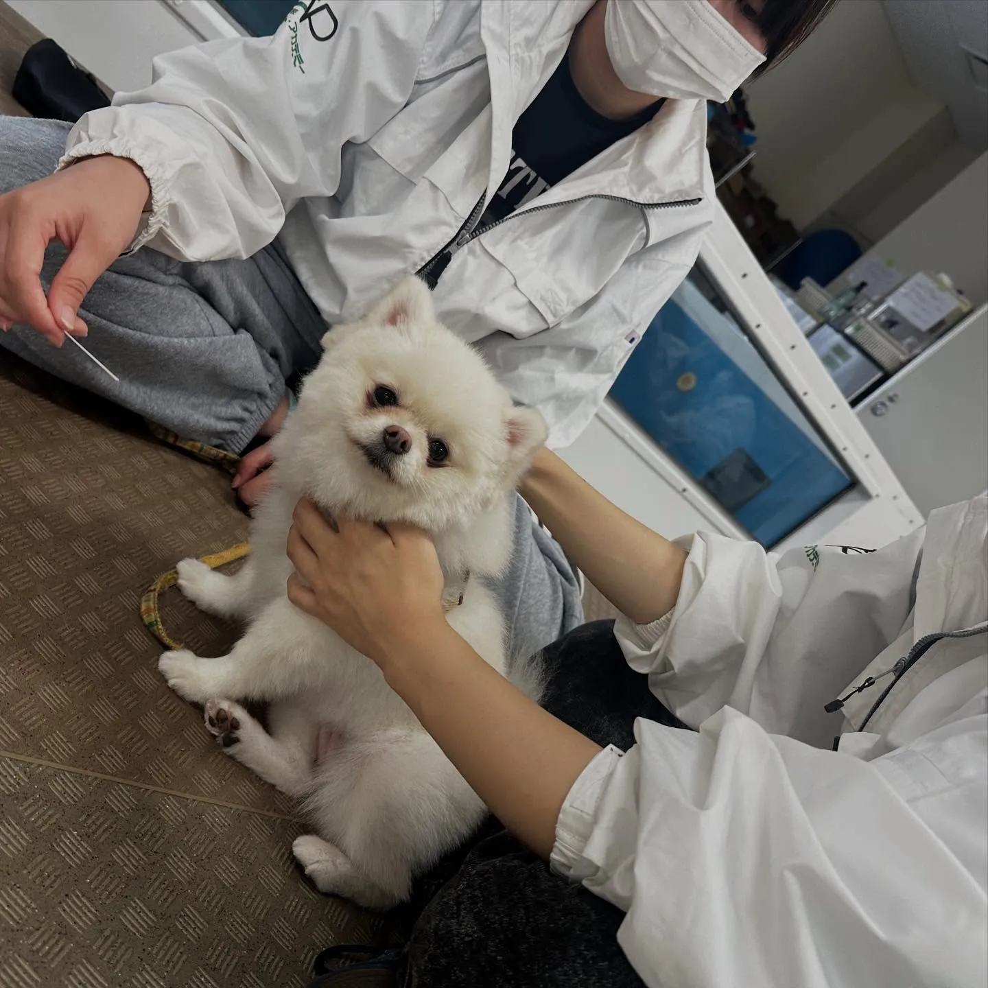 昨日は専門学校dayでした🏫