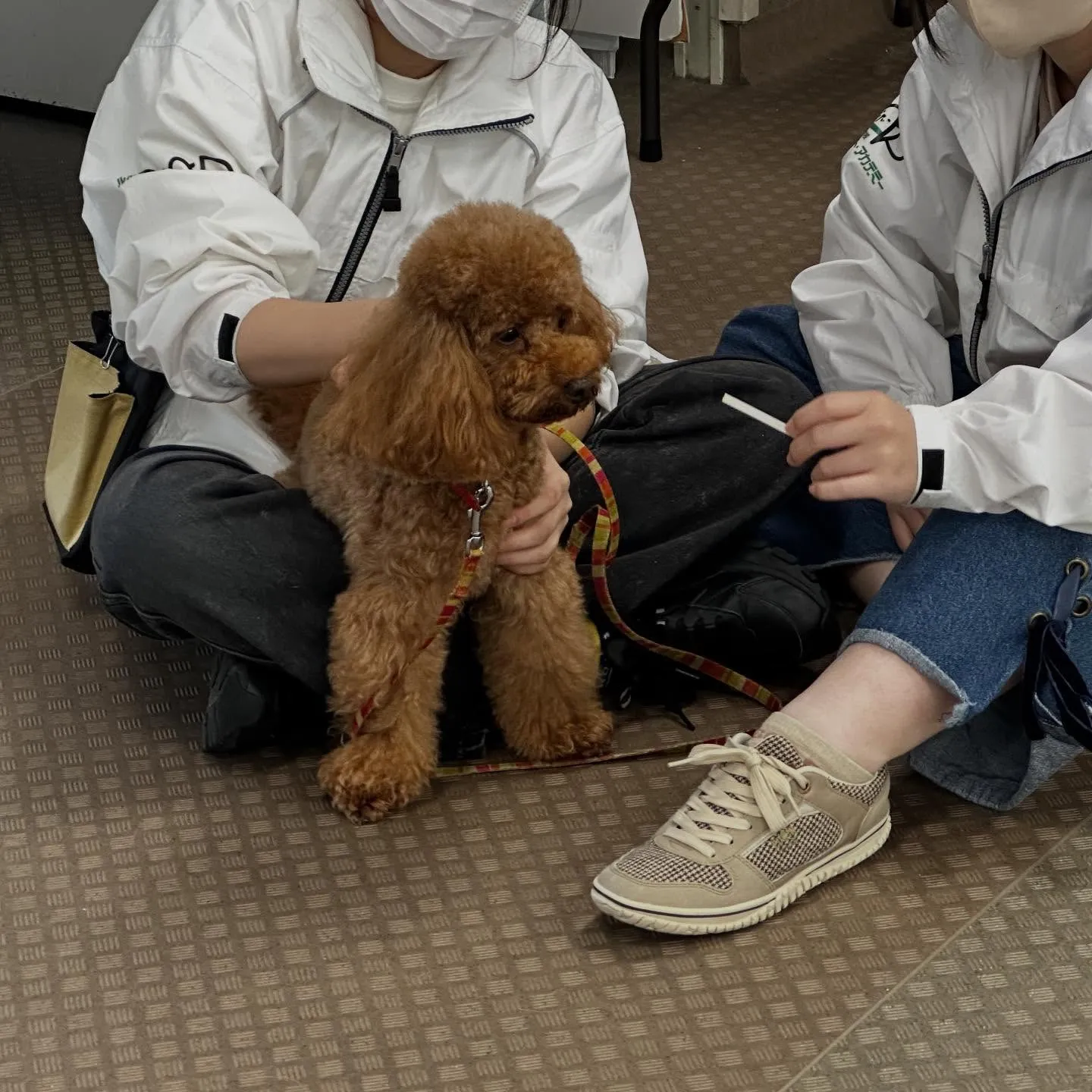 昨日は専門学校dayでした🏫
