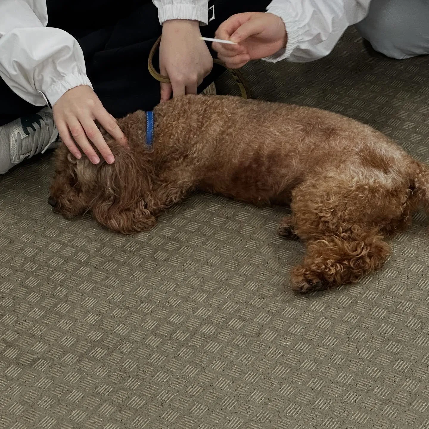 昨日は専門学校dayでした🏫