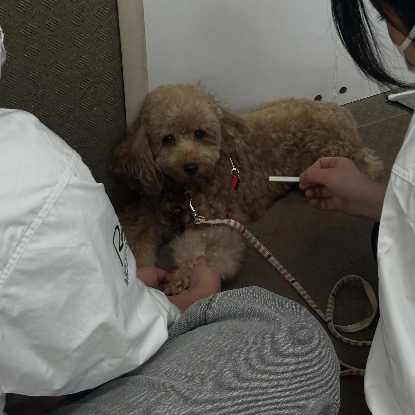 昨日は専門学校dayでした🏫