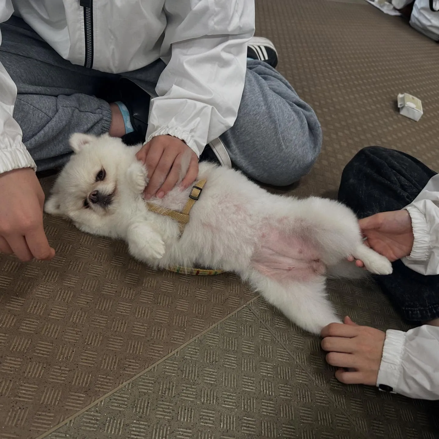 昨日は専門学校dayでした🏫