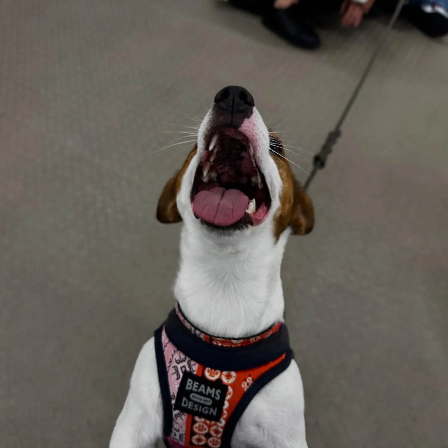 昨日は専門学校dayでした🏫